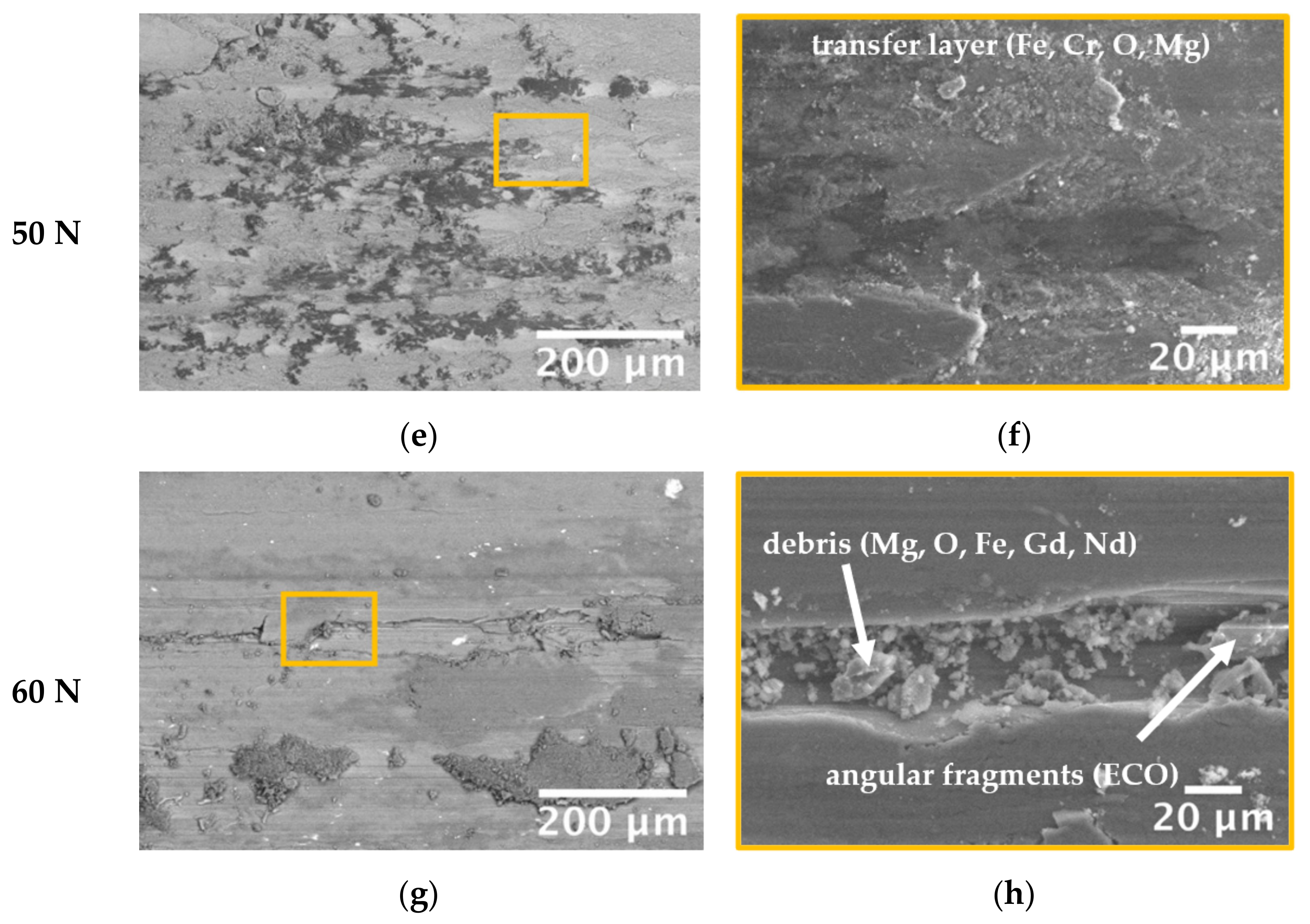 Coatings 13 00062 g011b