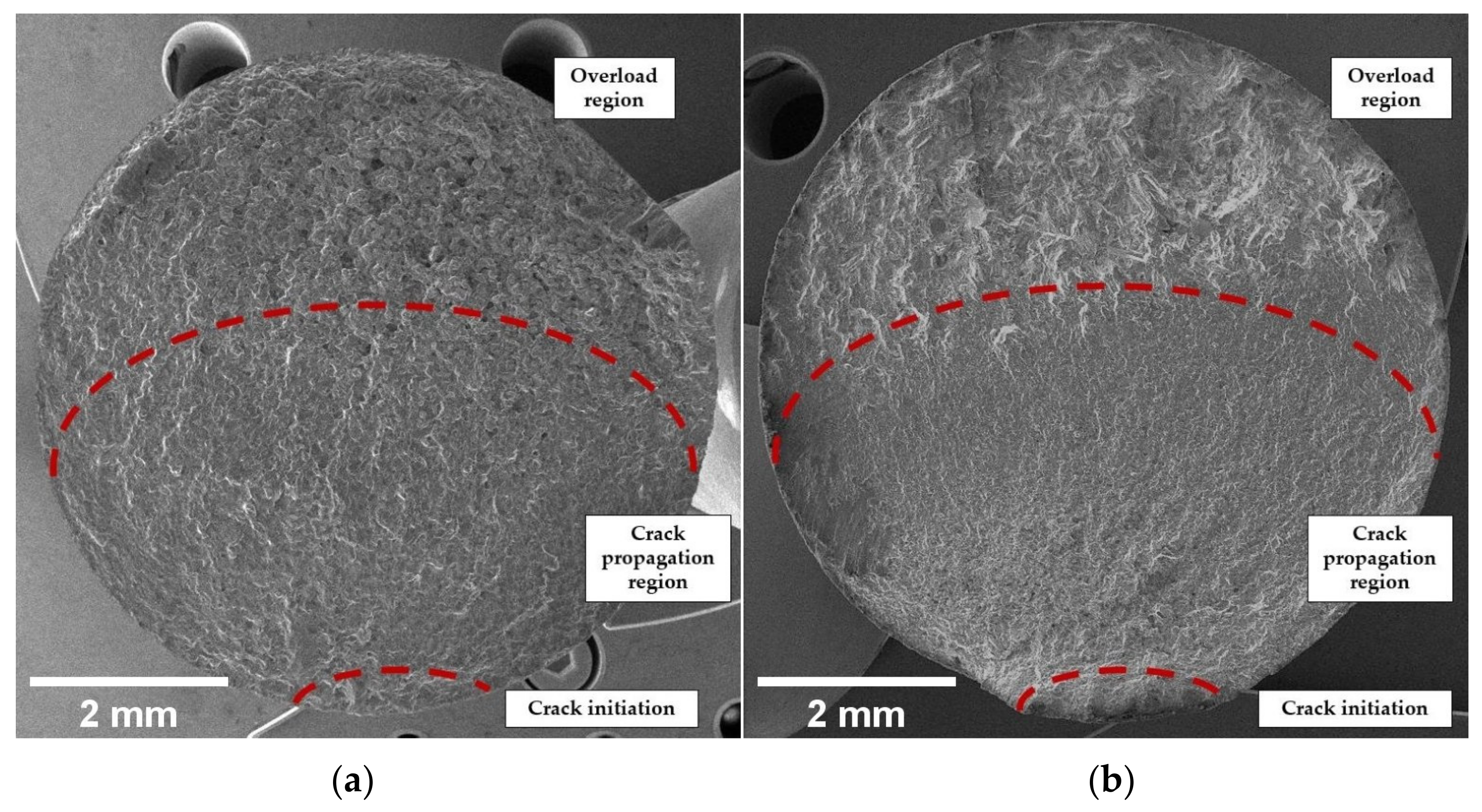Coatings 13 00062 g012