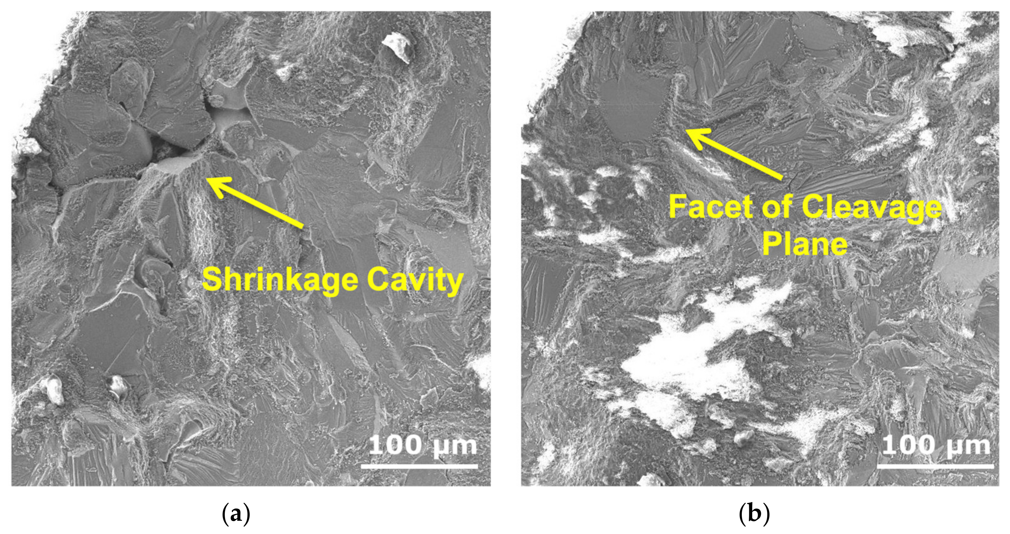 Coatings 13 00062 g013