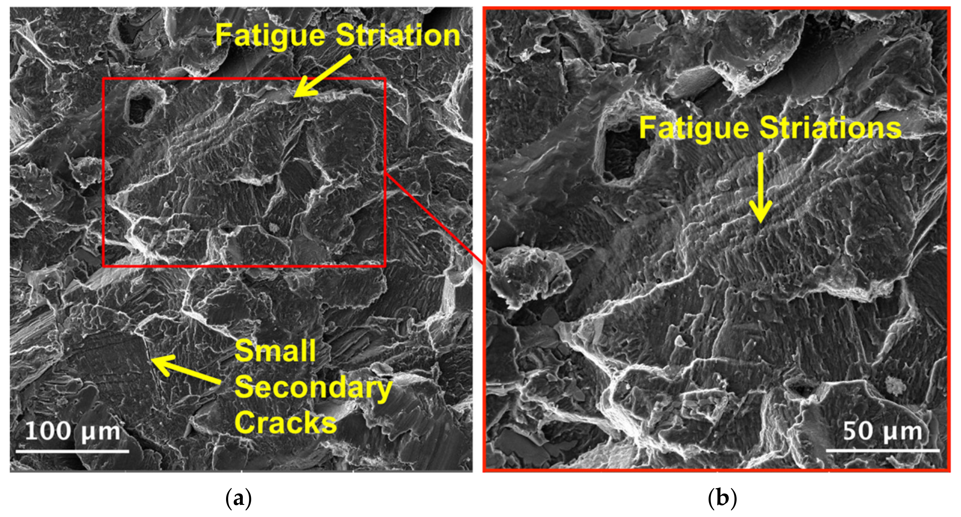 Coatings 13 00062 g014