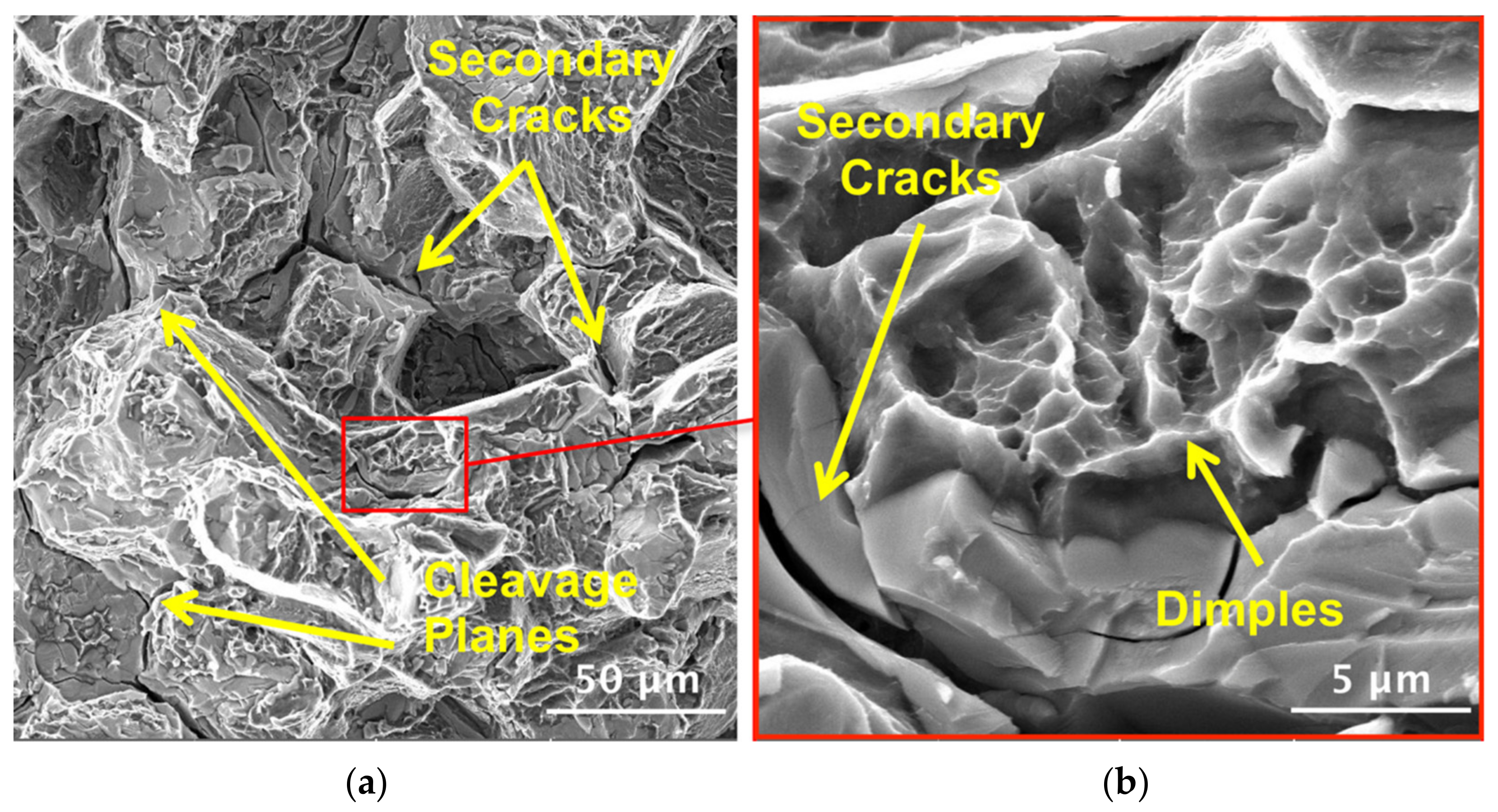 Coatings 13 00062 g015