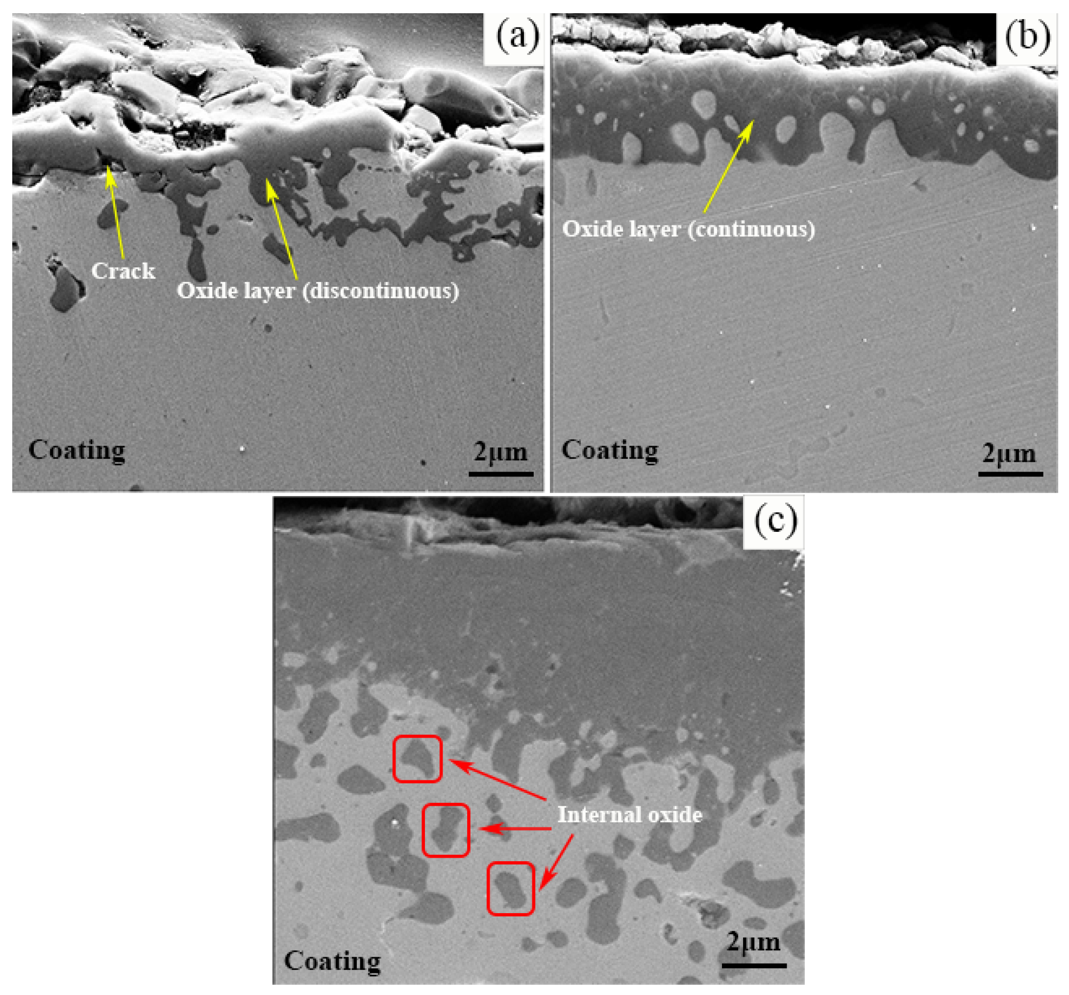 Coatings 13 00063 g007 Coatings 13 00063 g007