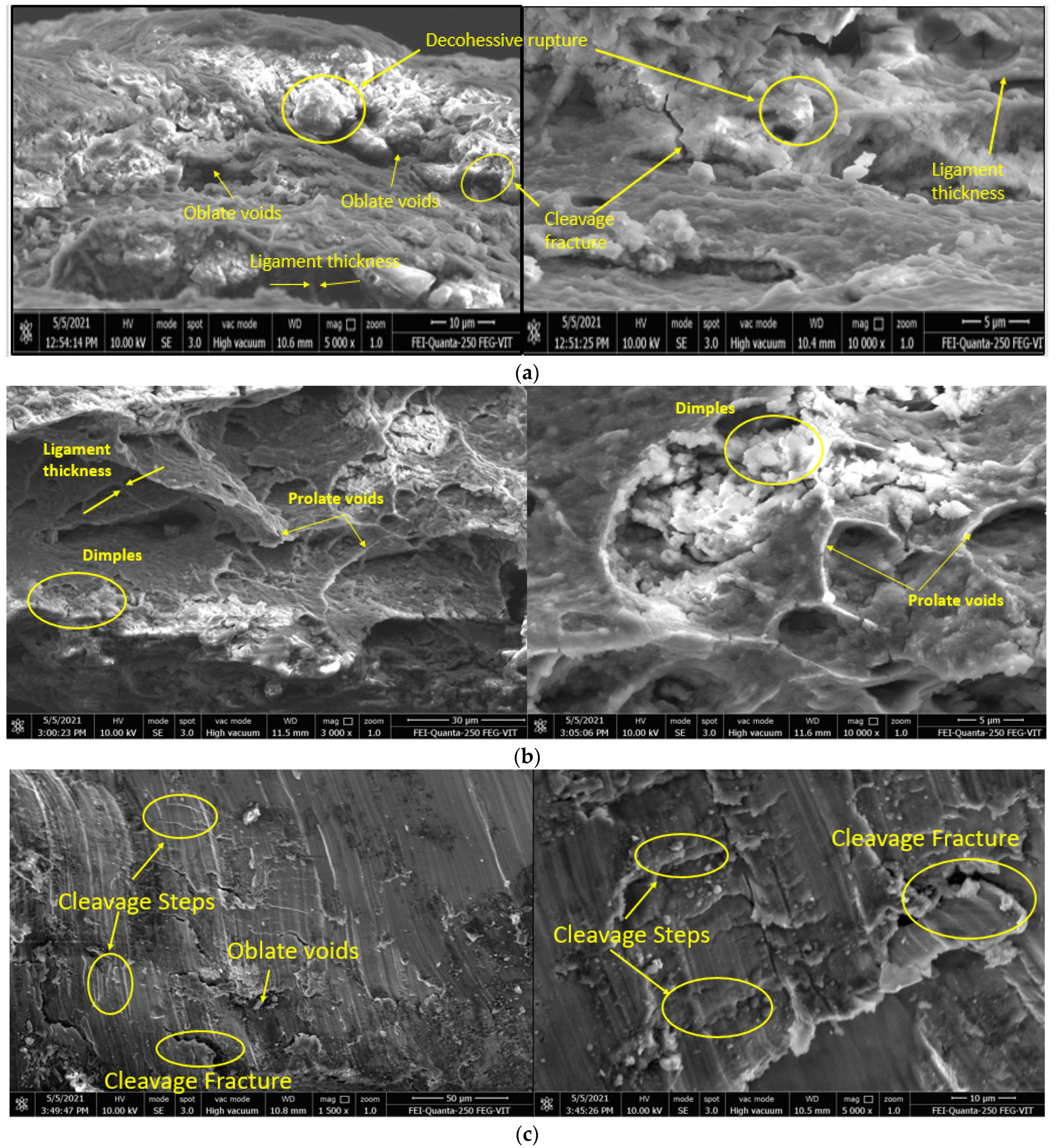 Coatings 13 00068 g011