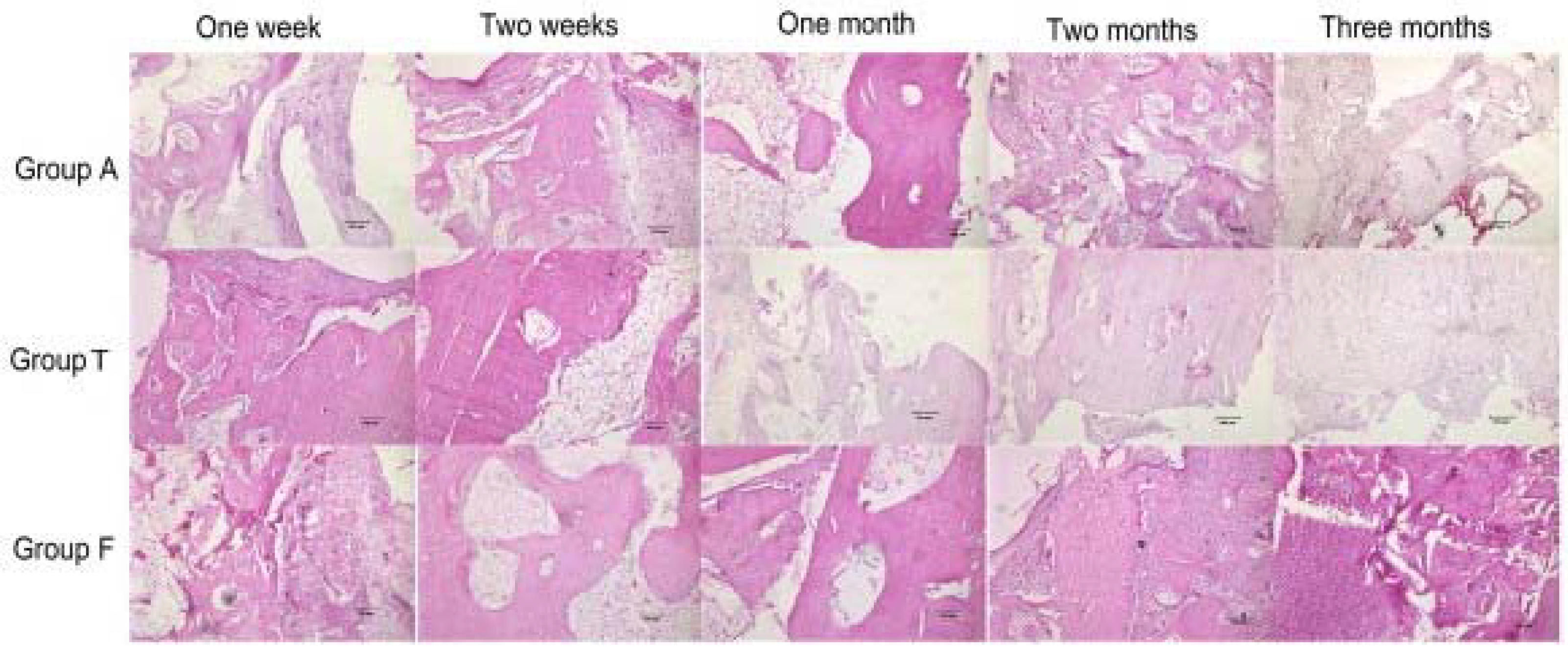 Coatings 13 00069 g002