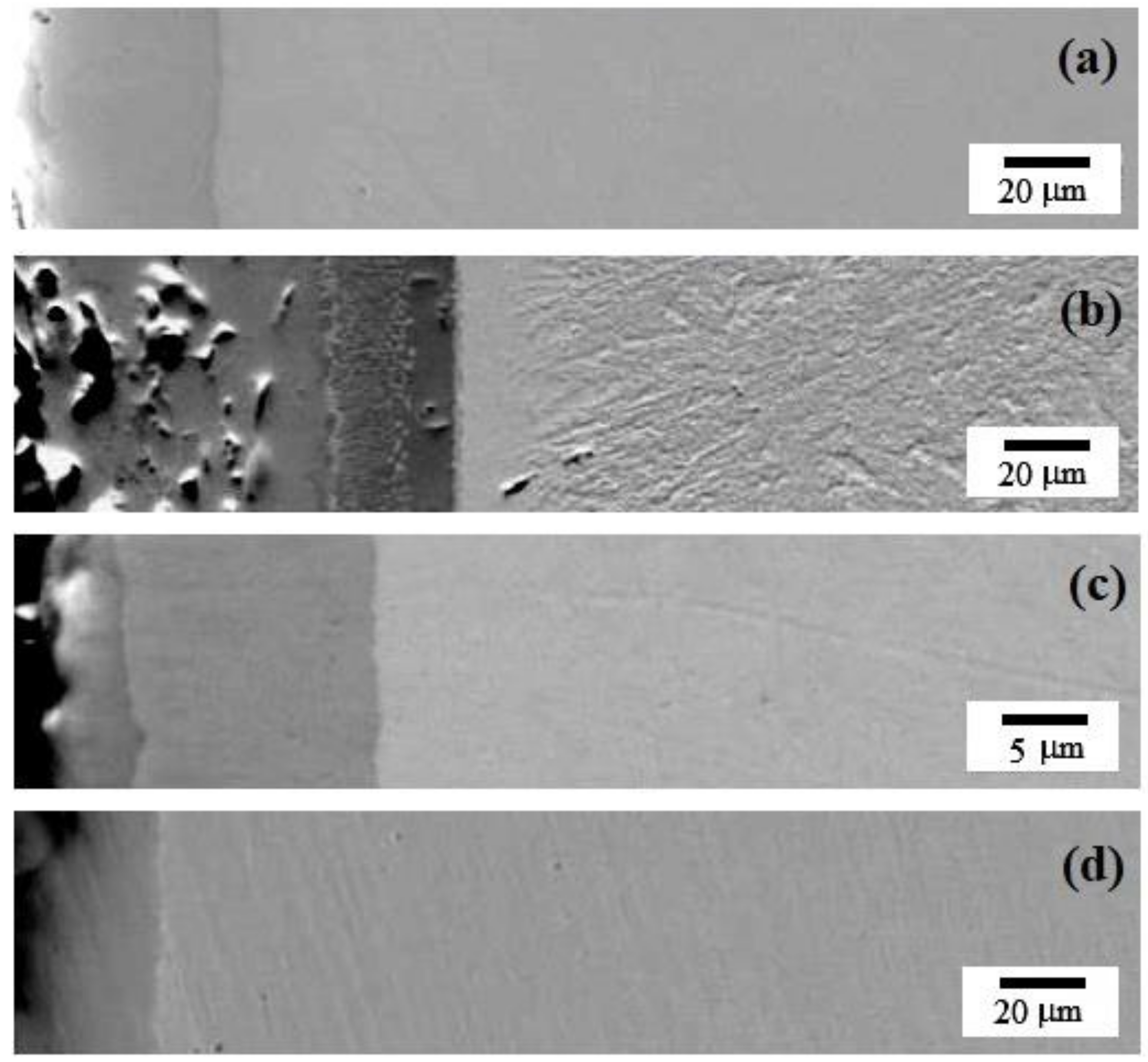 Coatings 13 00070 g001