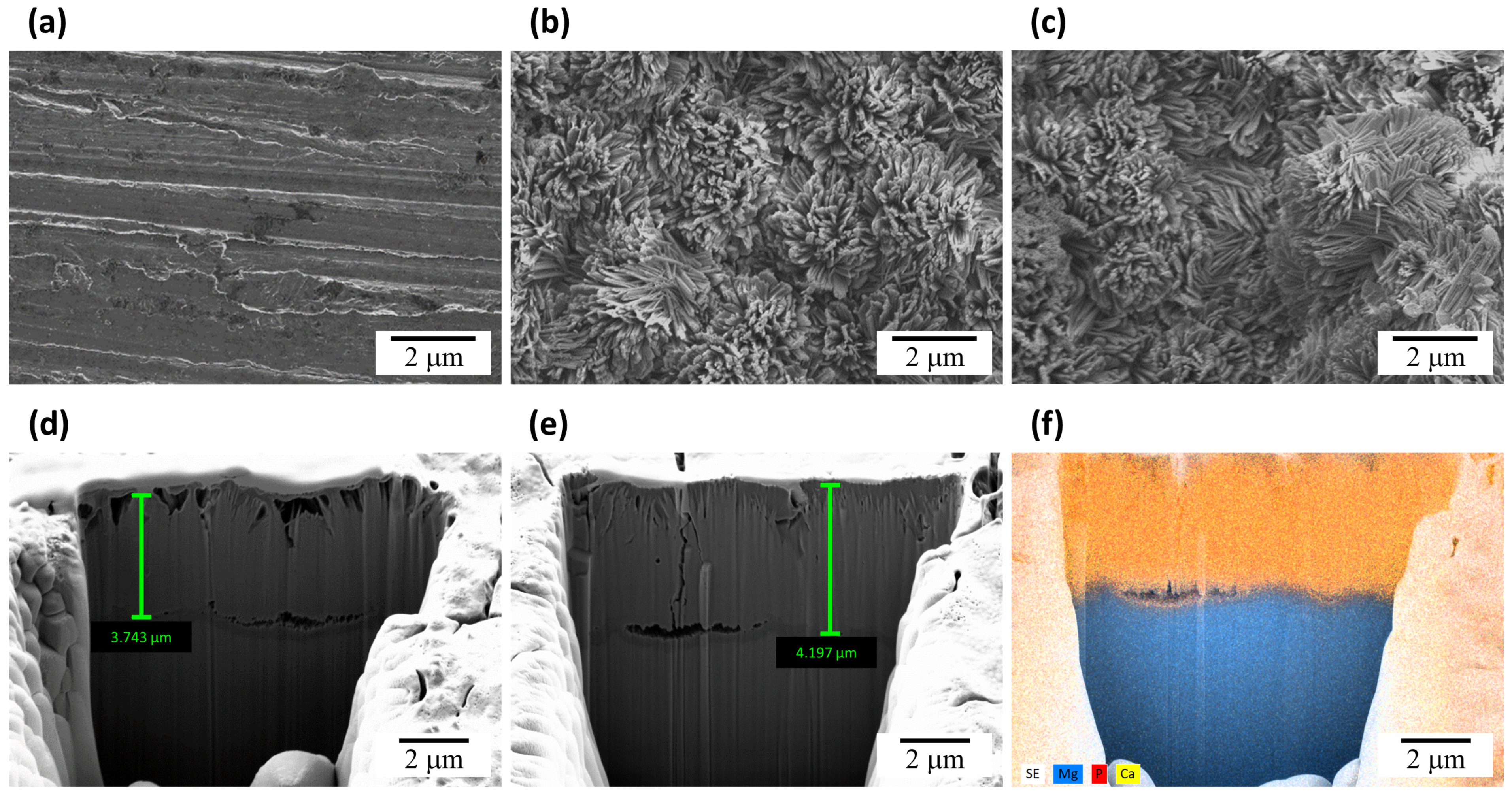 Coatings 13 00072 g001