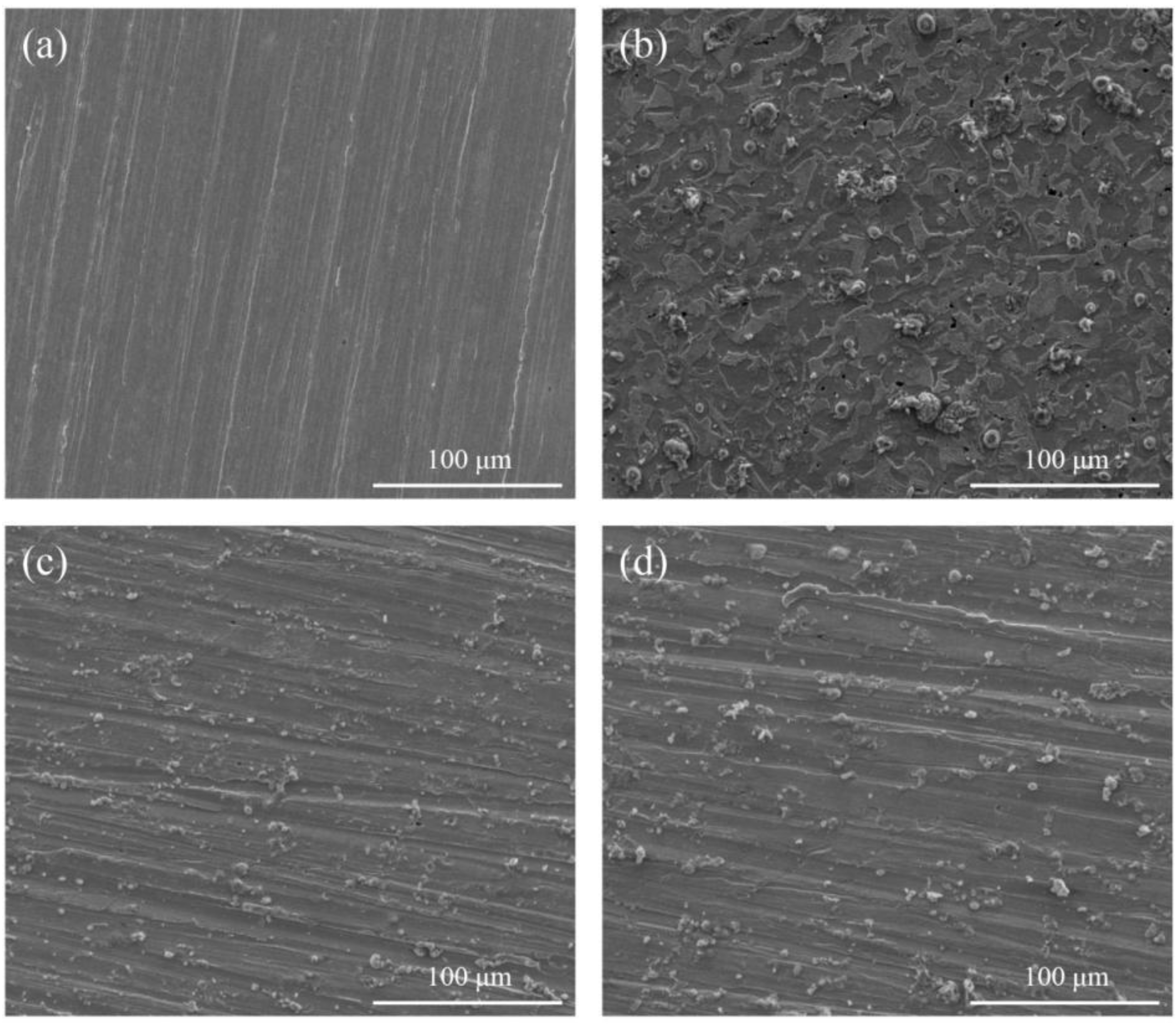 Coatings 13 00073 g006