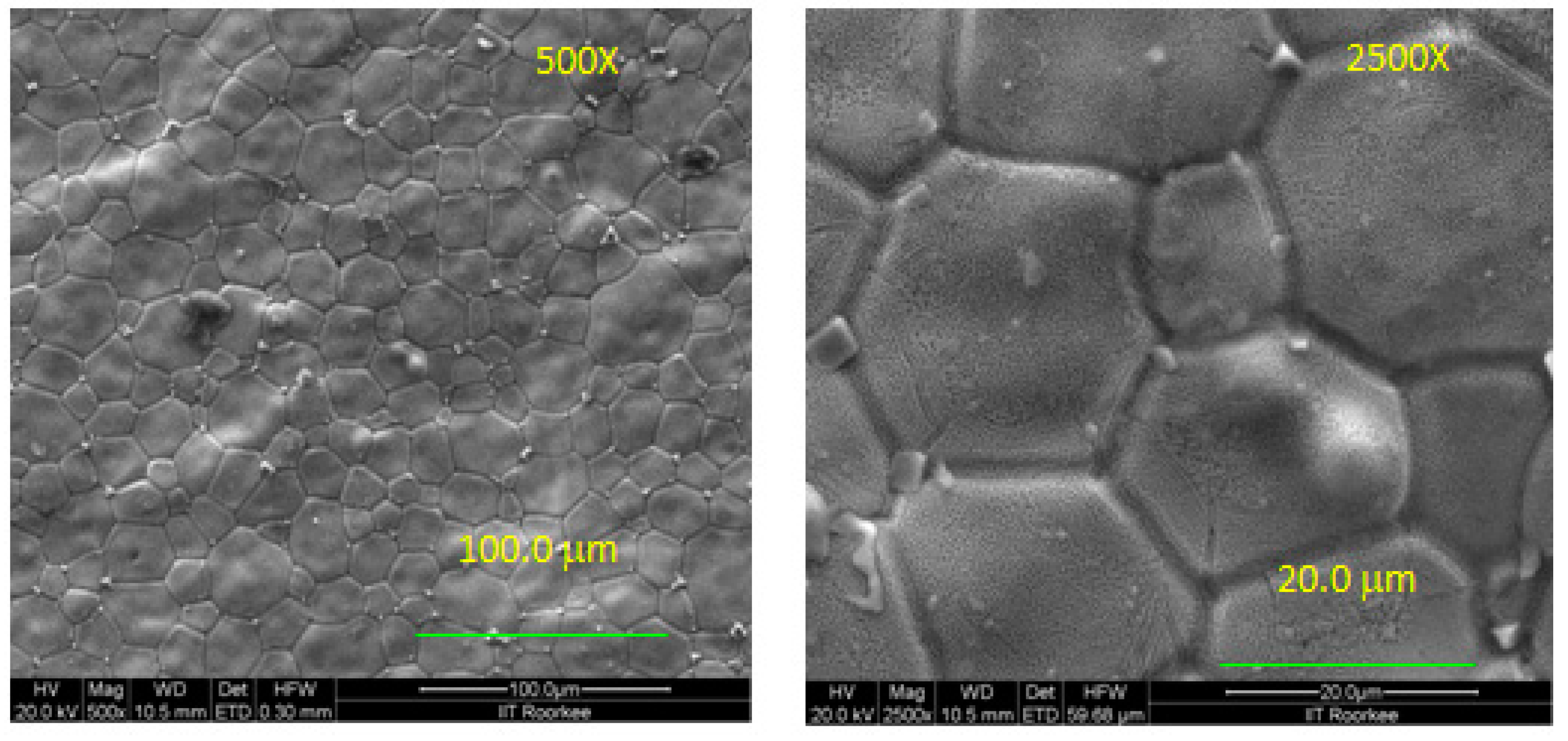 Coatings 13 00075 g005