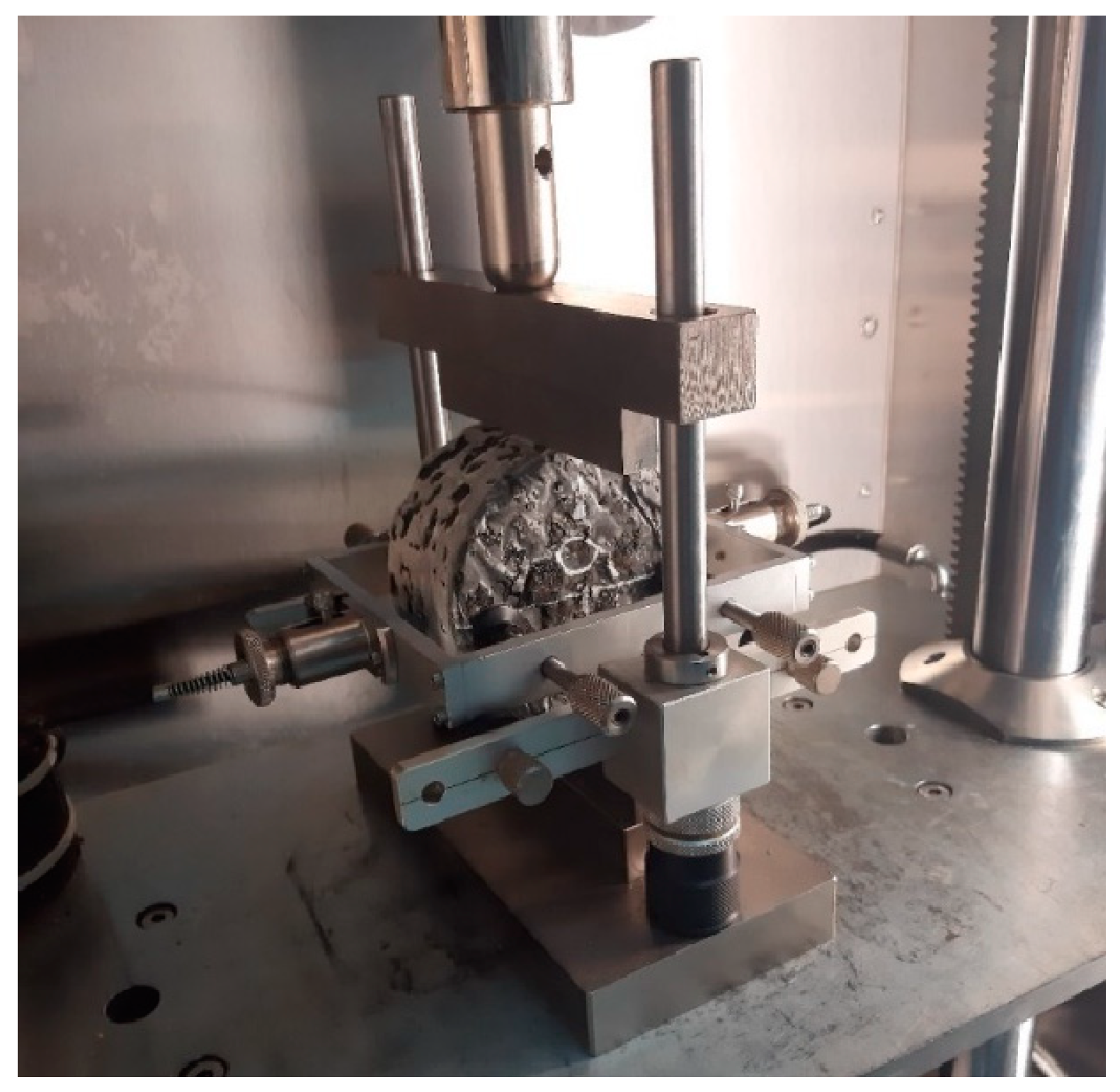 Coatings 13 00076 g002