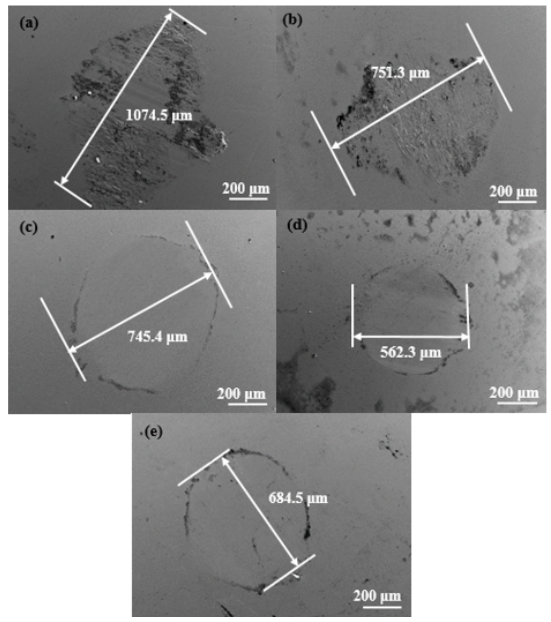 Coatings 13 00078 g009 Coatings 13 00078 g009