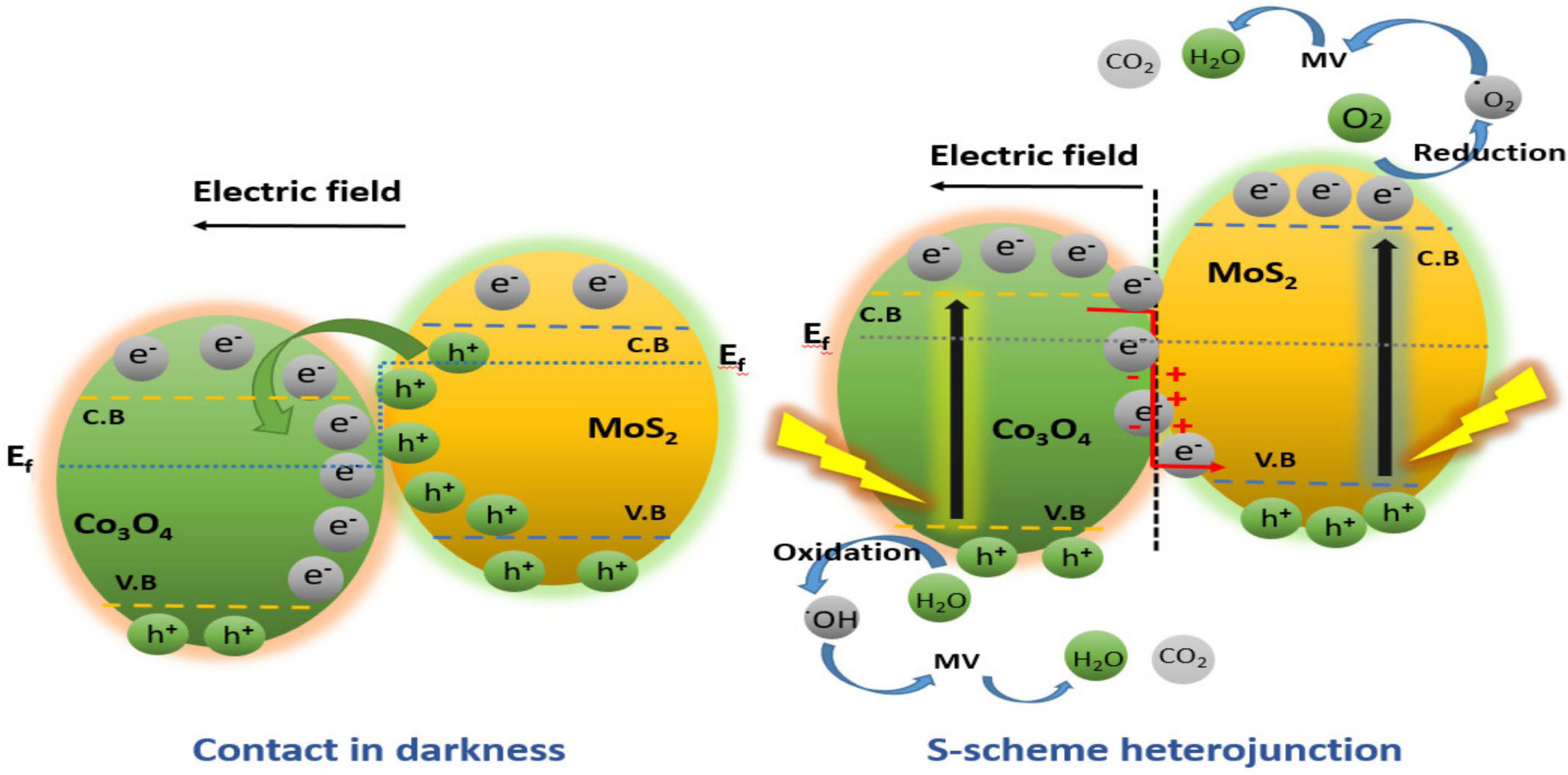 Coatings 13 00080 sch002