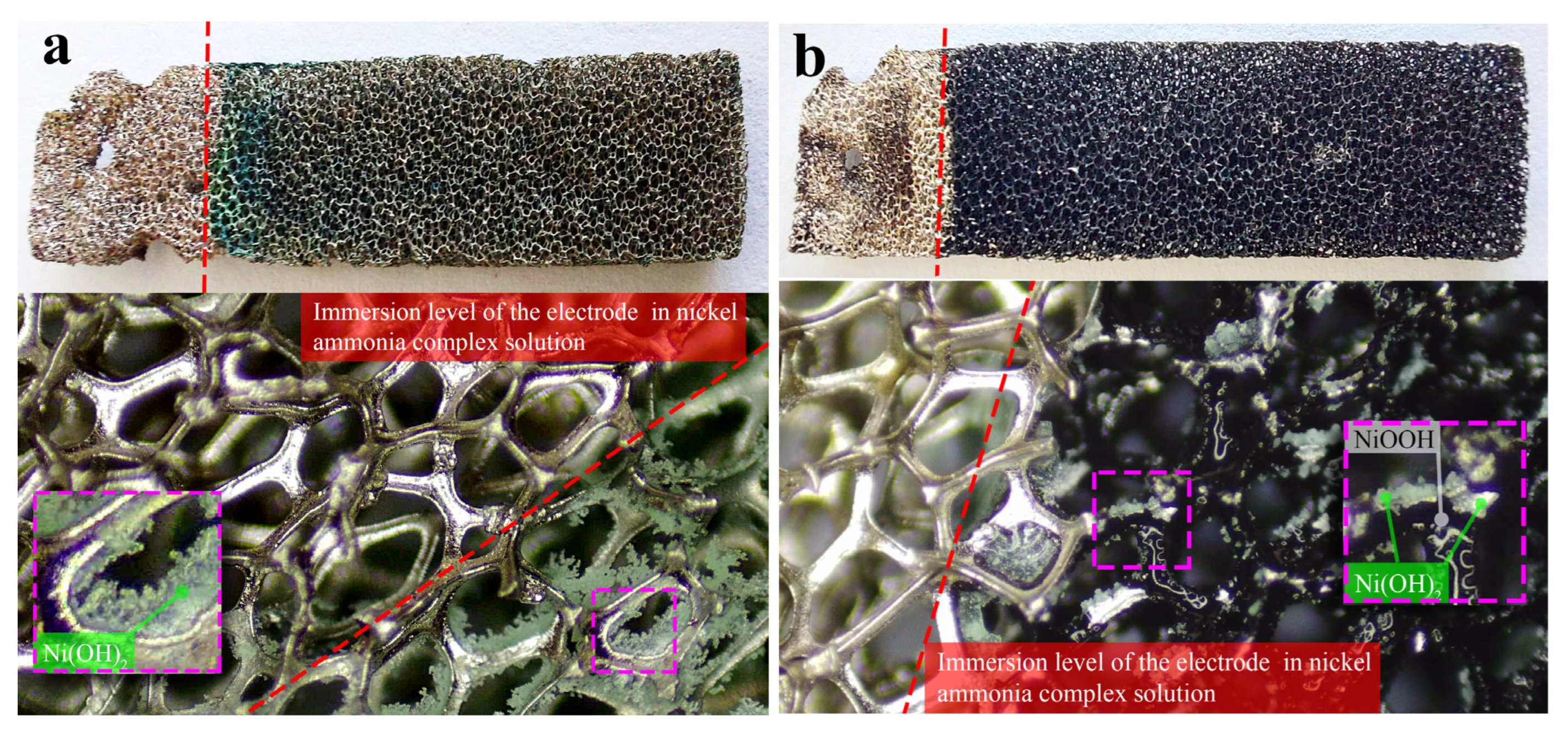 Coatings 13 00084 g003 Coatings 13 00084 g003
