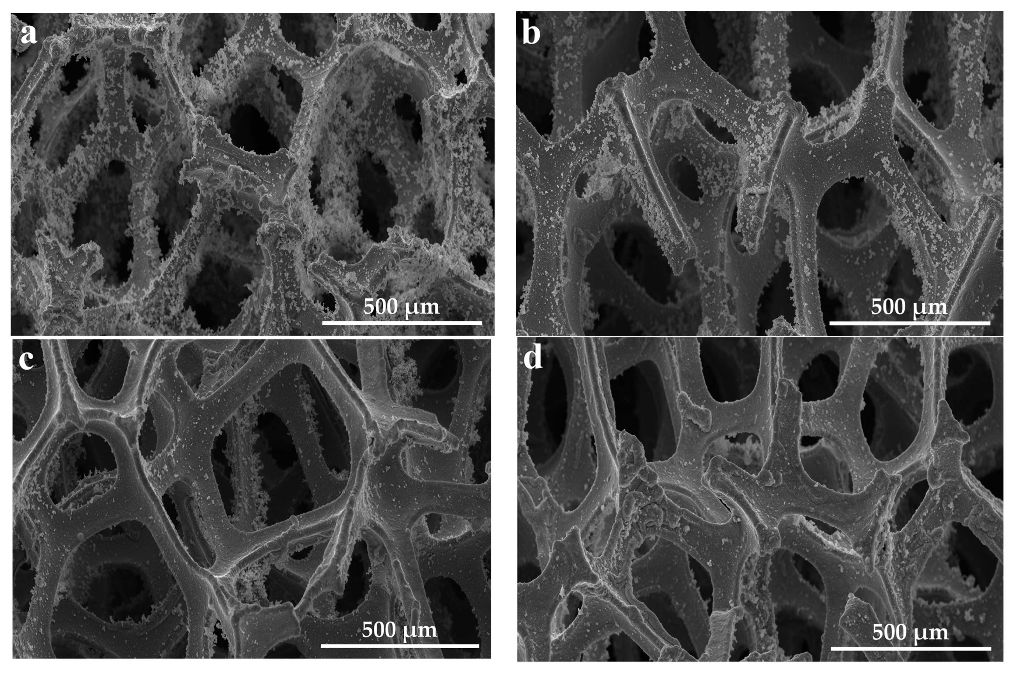 Coatings 13 00084 g004 Coatings 13 00084 g004