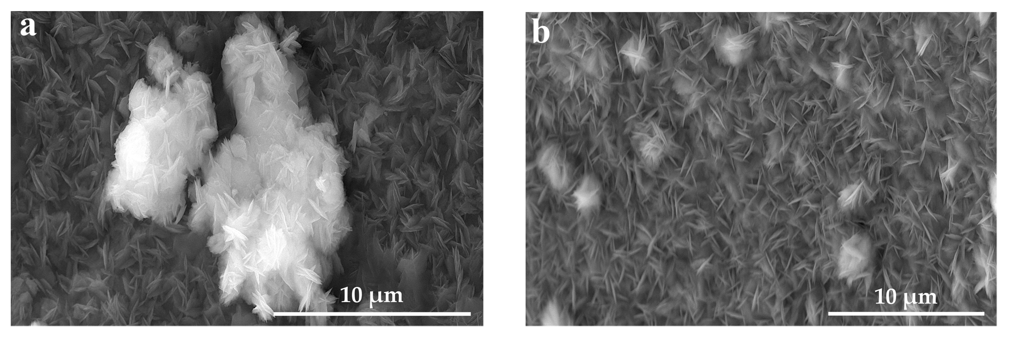 Coatings 13 00084 g005a Coatings 13 00084 g005a