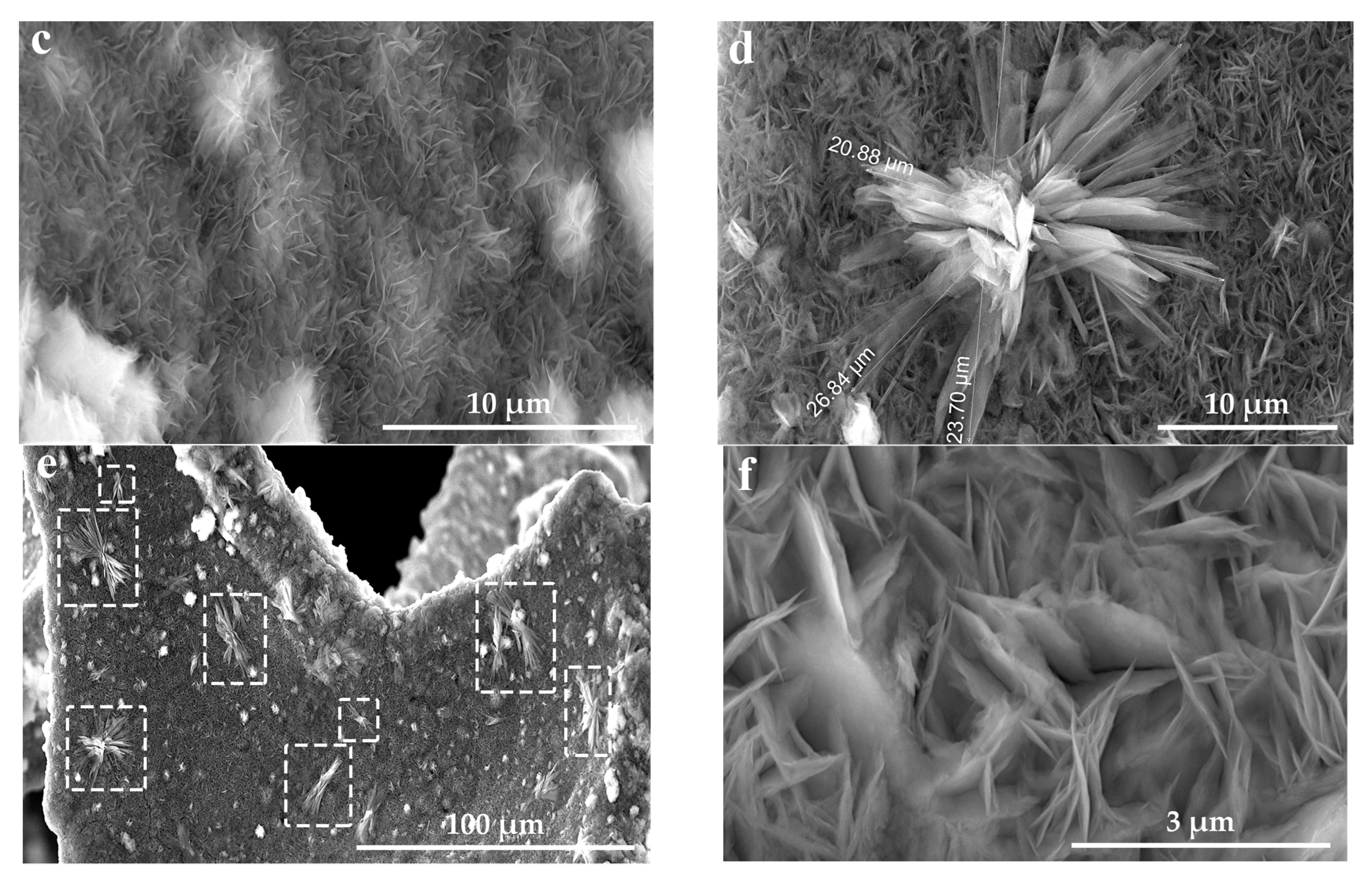 Coatings 13 00084 g005b Coatings 13 00084 g005b