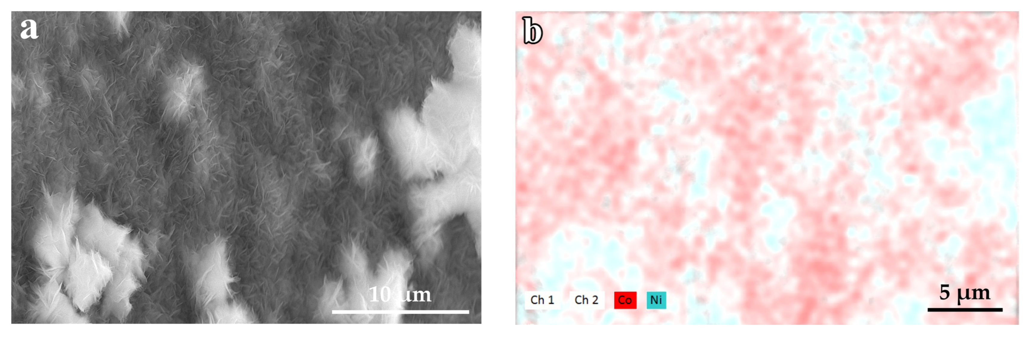 Coatings 13 00084 g006a Coatings 13 00084 g006a