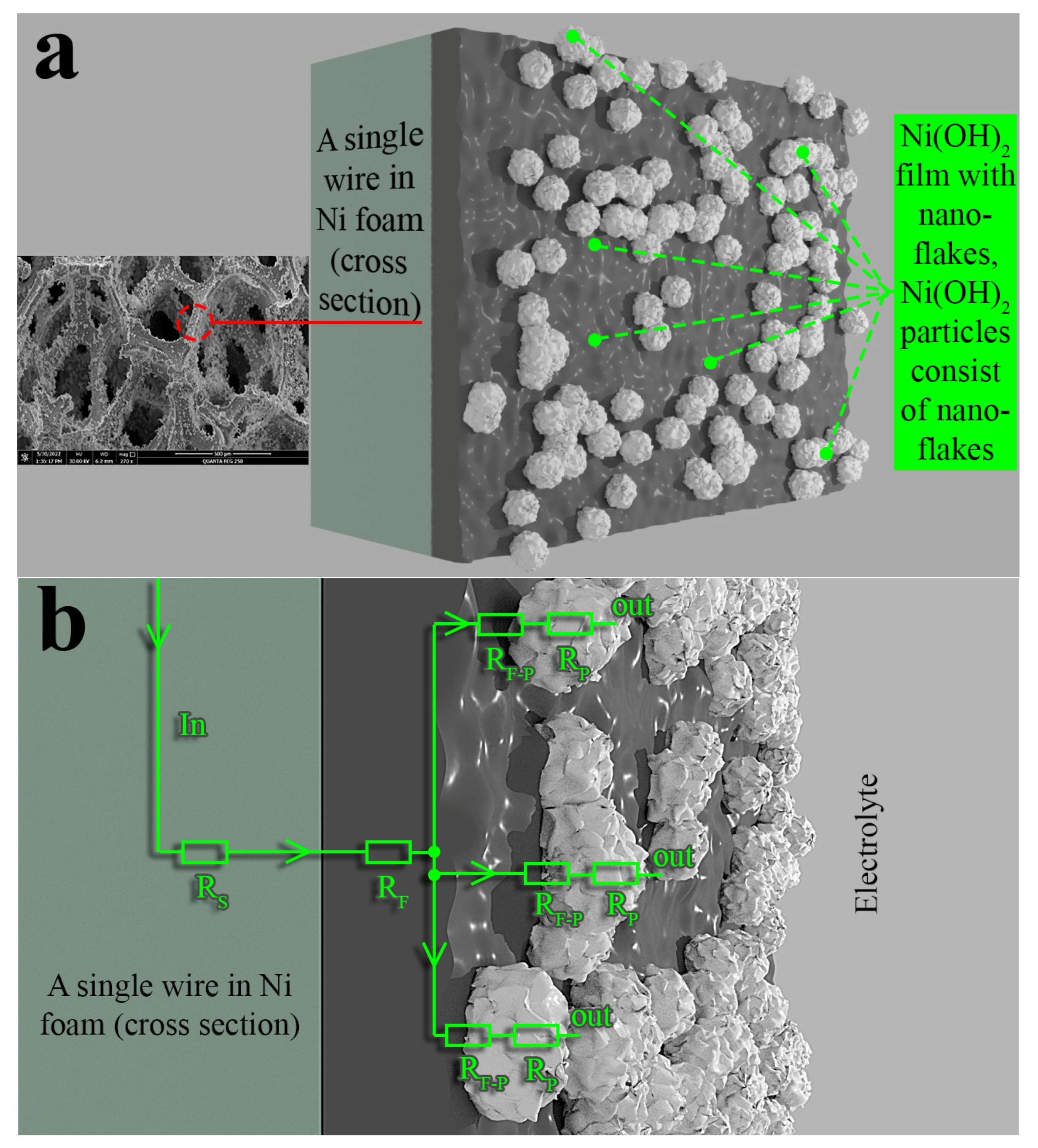 Coatings 13 00084 g012 Coatings 13 00084 g012