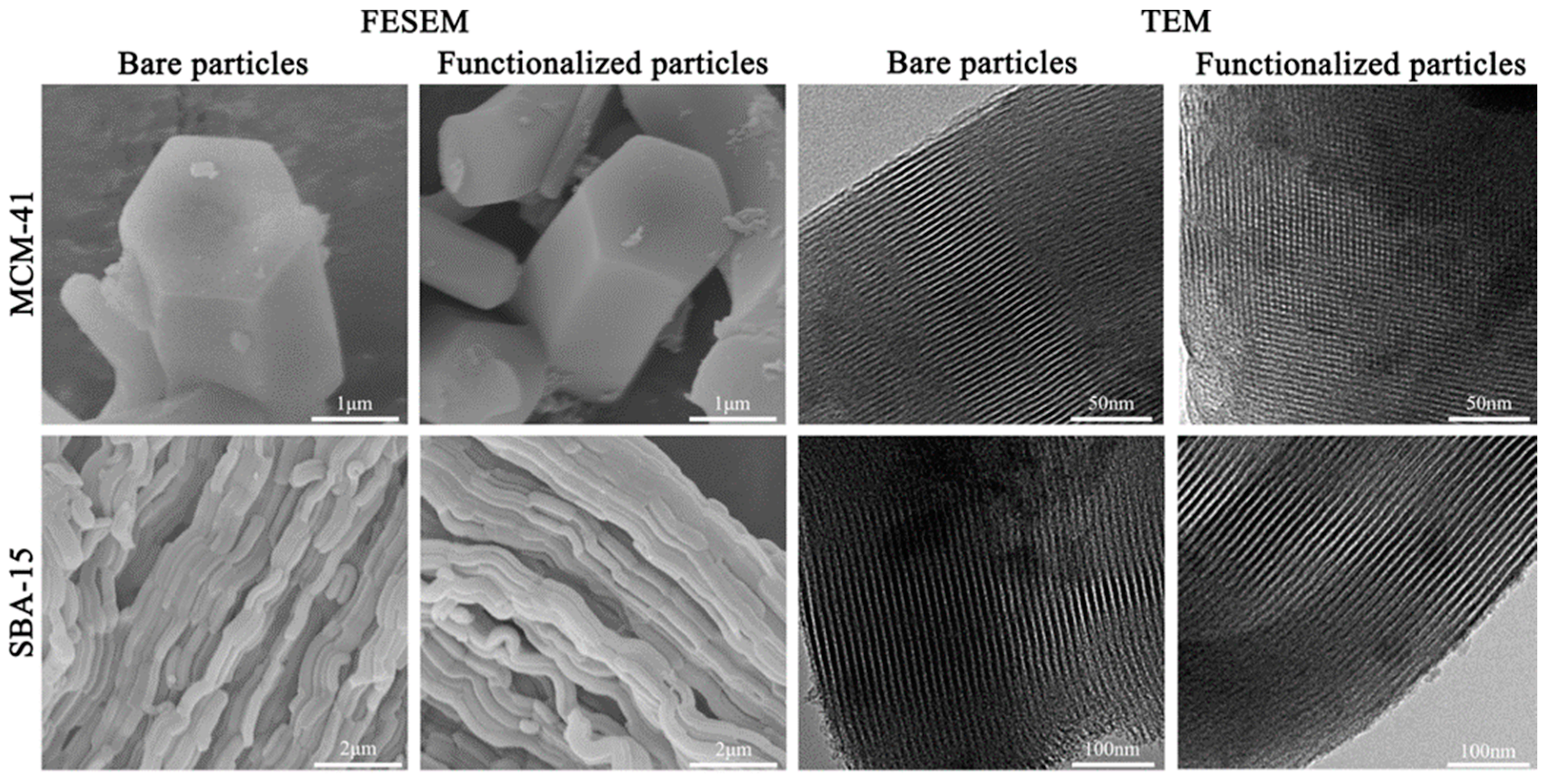 Coatings 13 00086 g002 Coatings 13 00086 g002