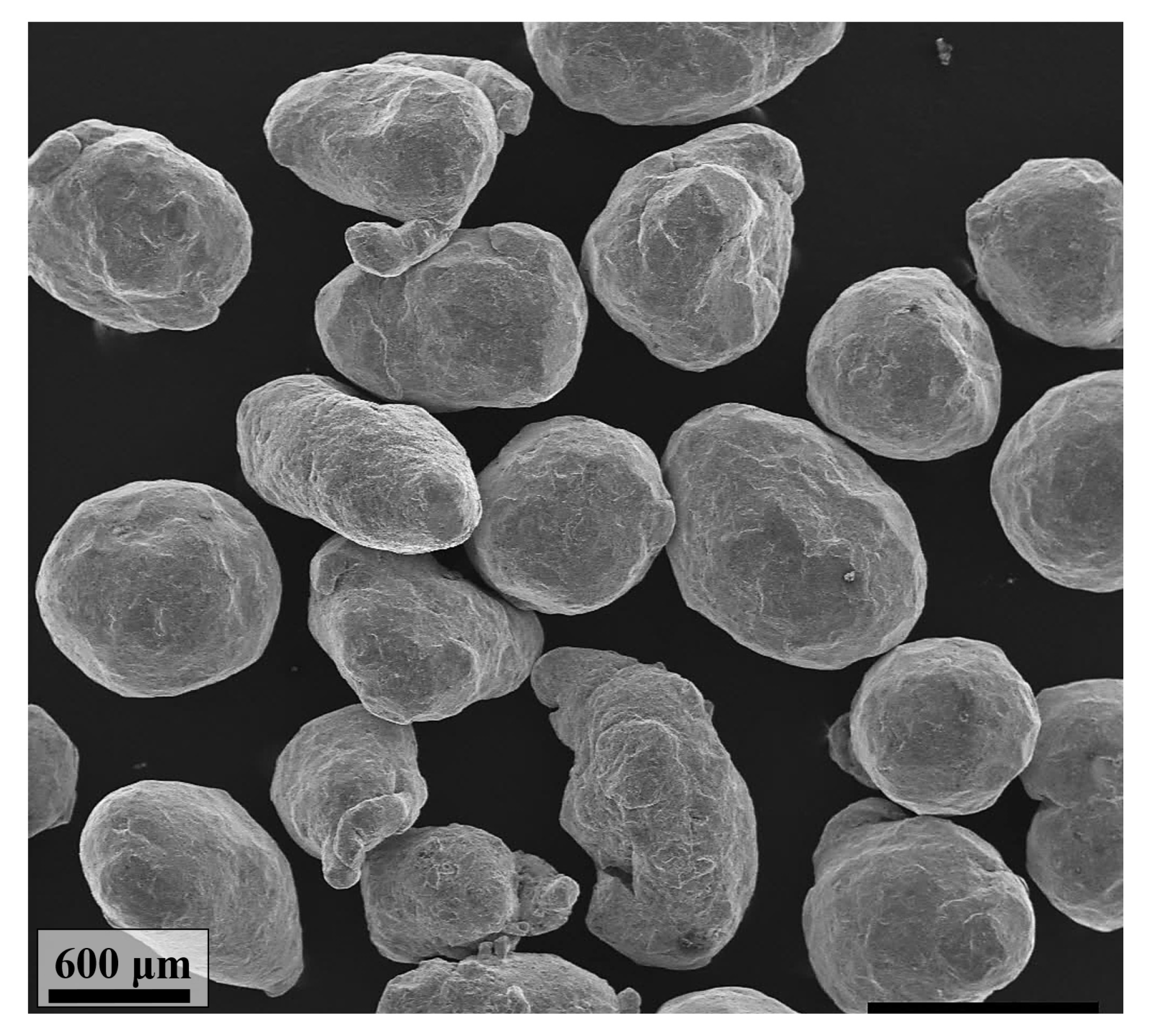 Coatings 13 00089 g003