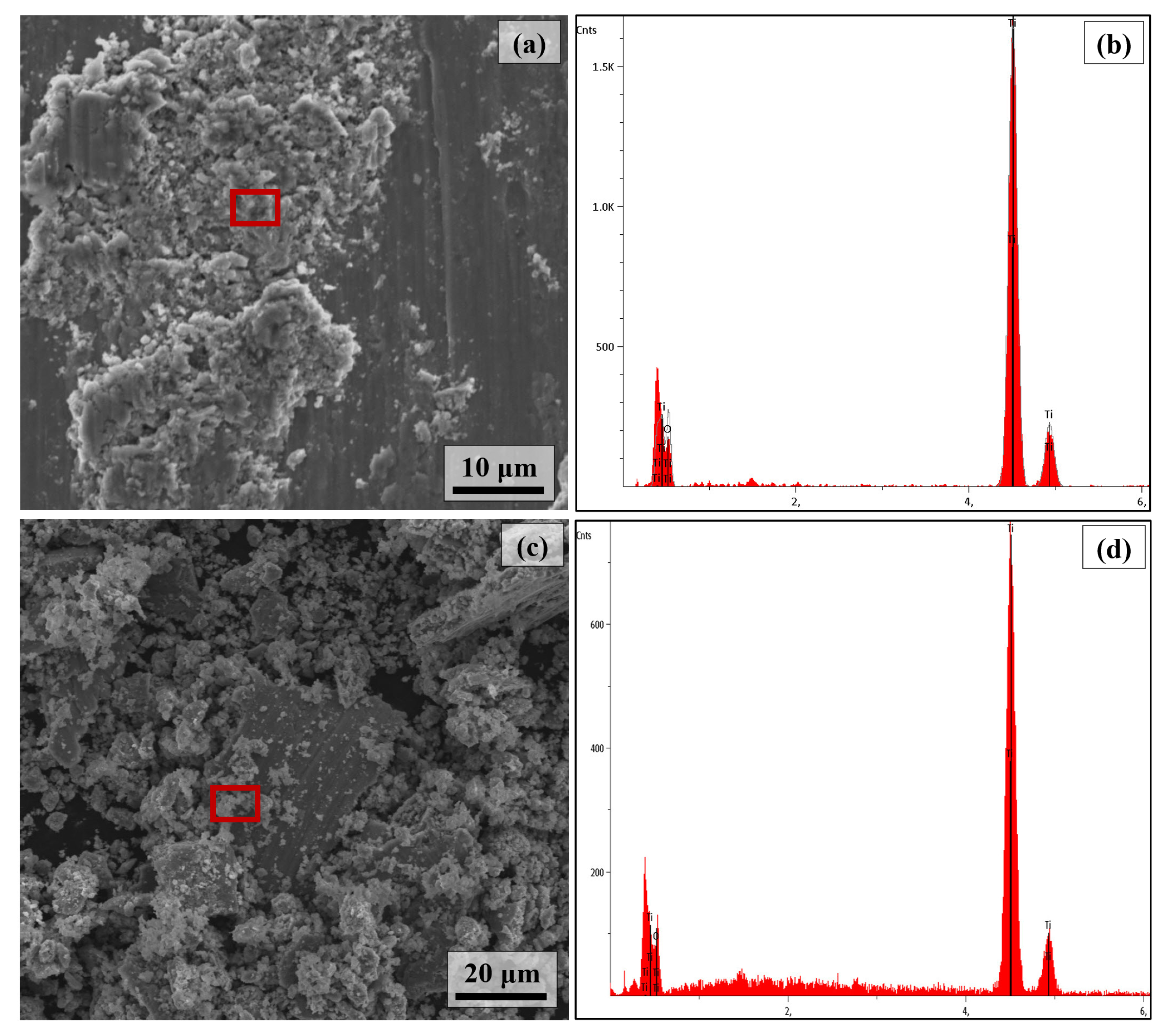 Coatings 13 00089 g012