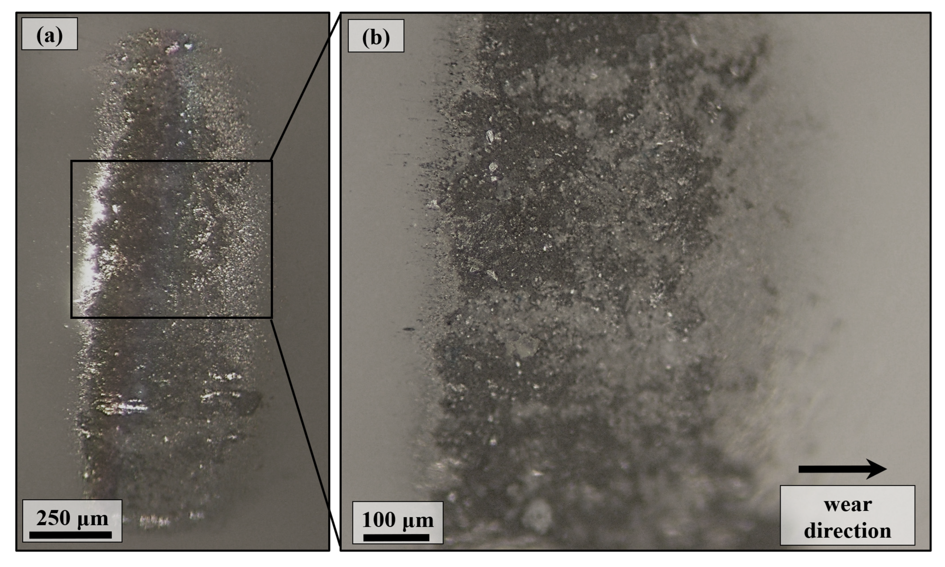 Coatings 13 00089 g013