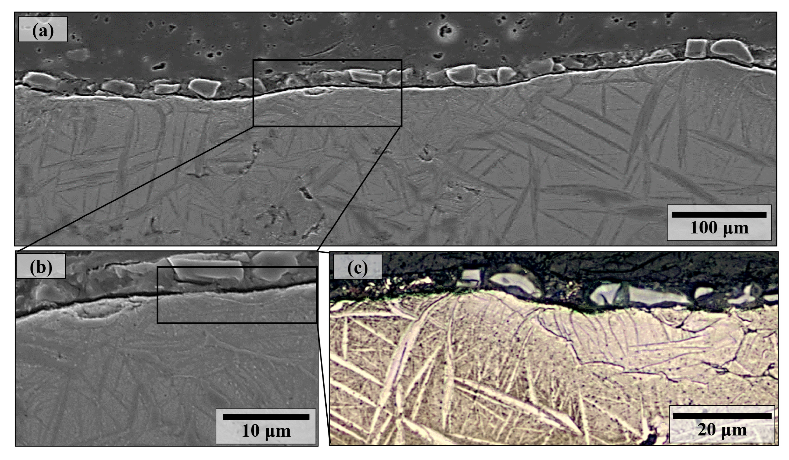 Coatings 13 00089 g015