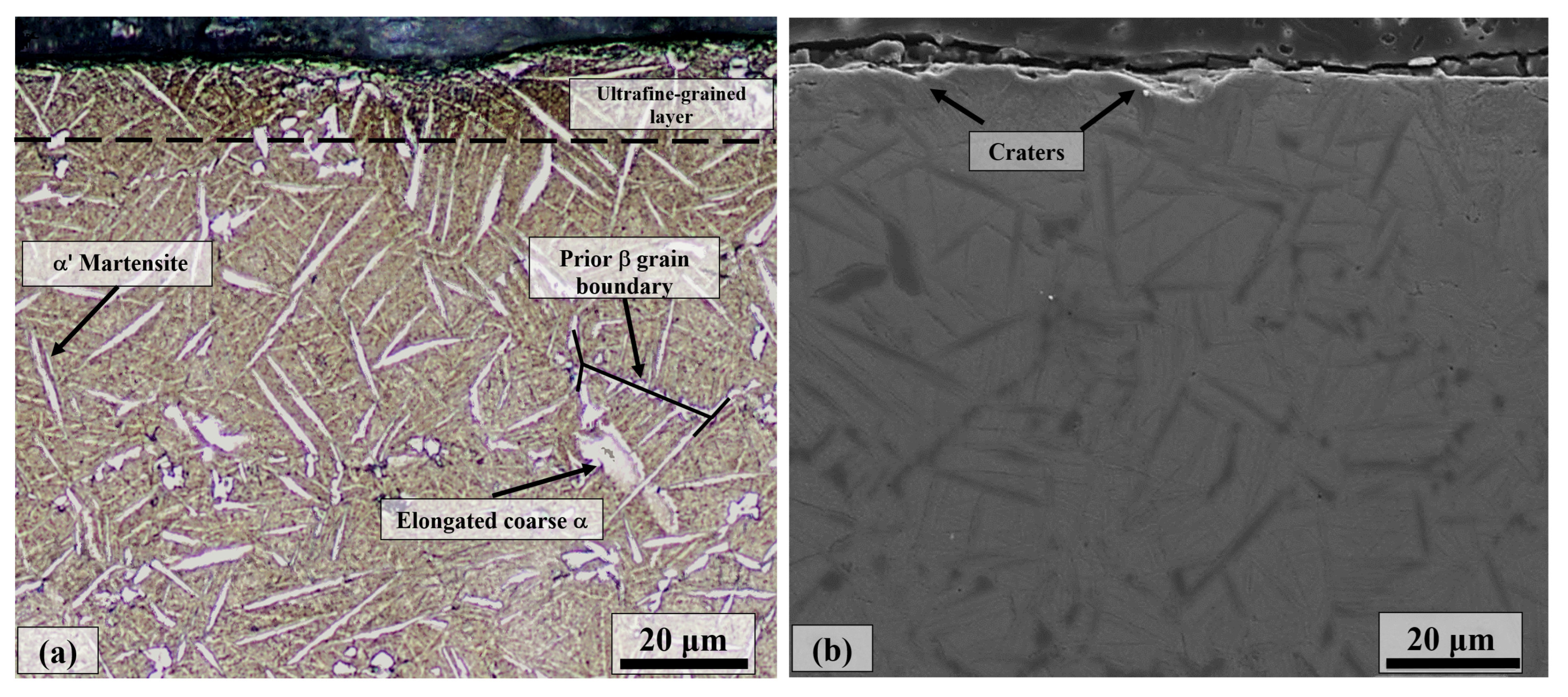 Coatings 13 00089 g018
