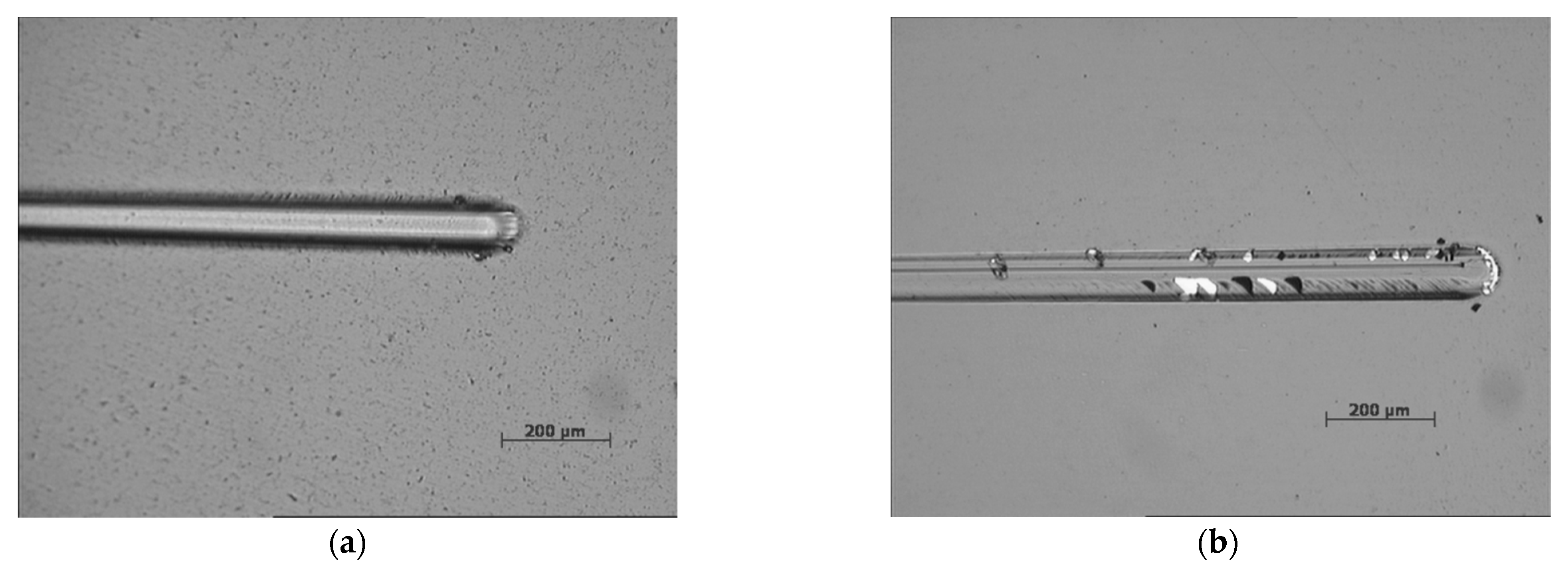 Coatings 13 00092 g004