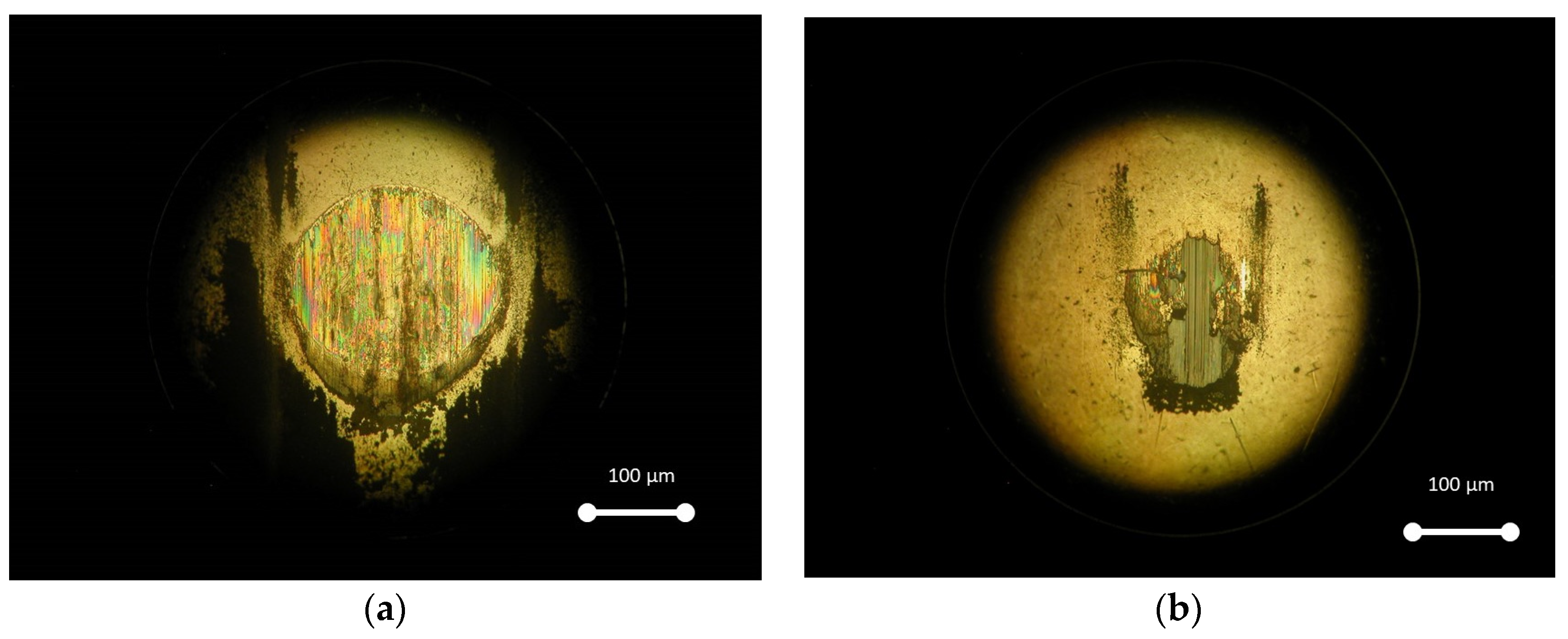 Coatings 13 00092 g008