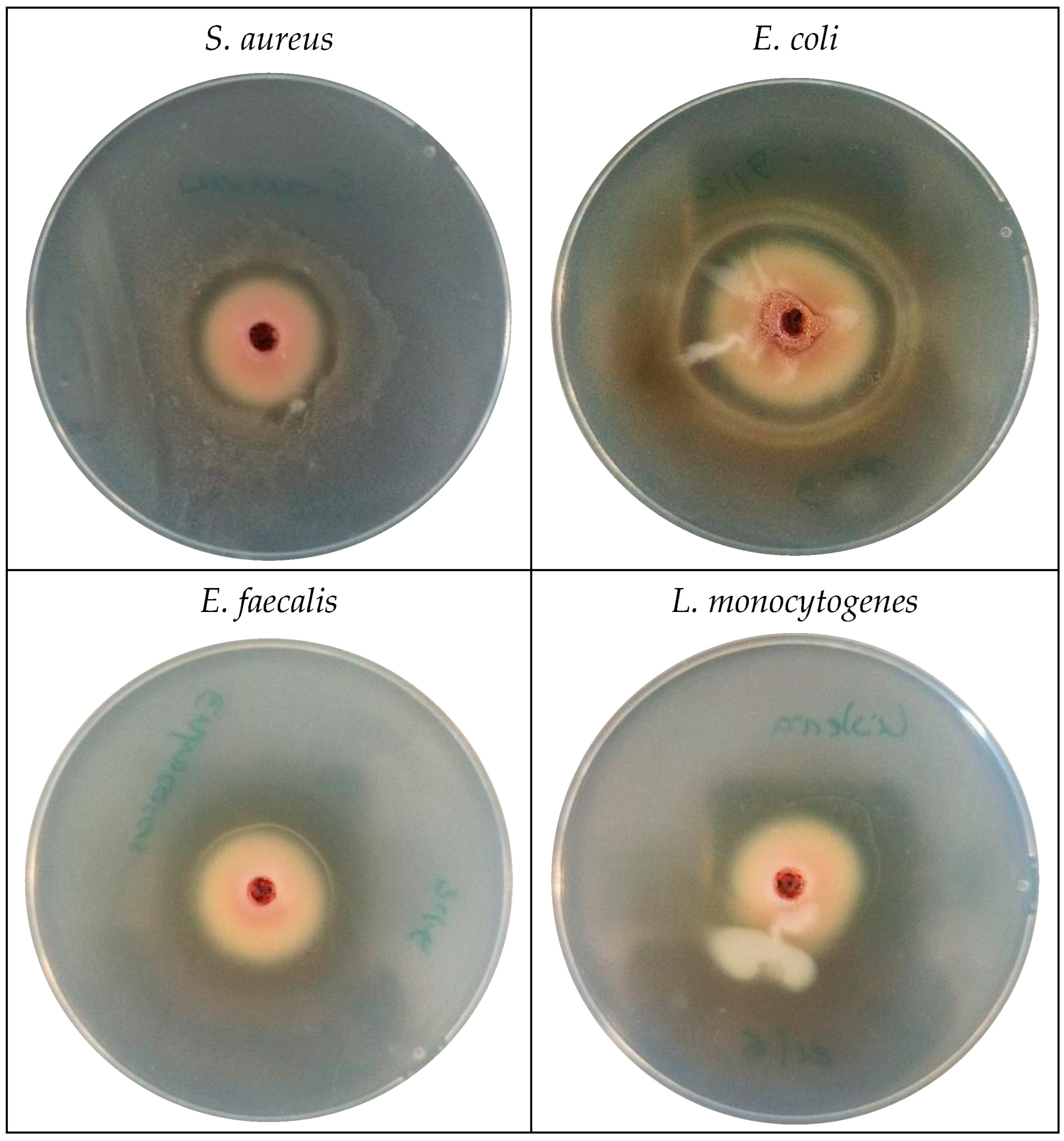 Coatings 13 00093 g005