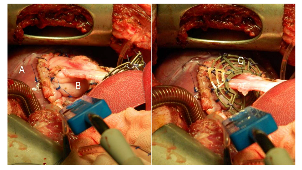 Coatings 13 00094 g001