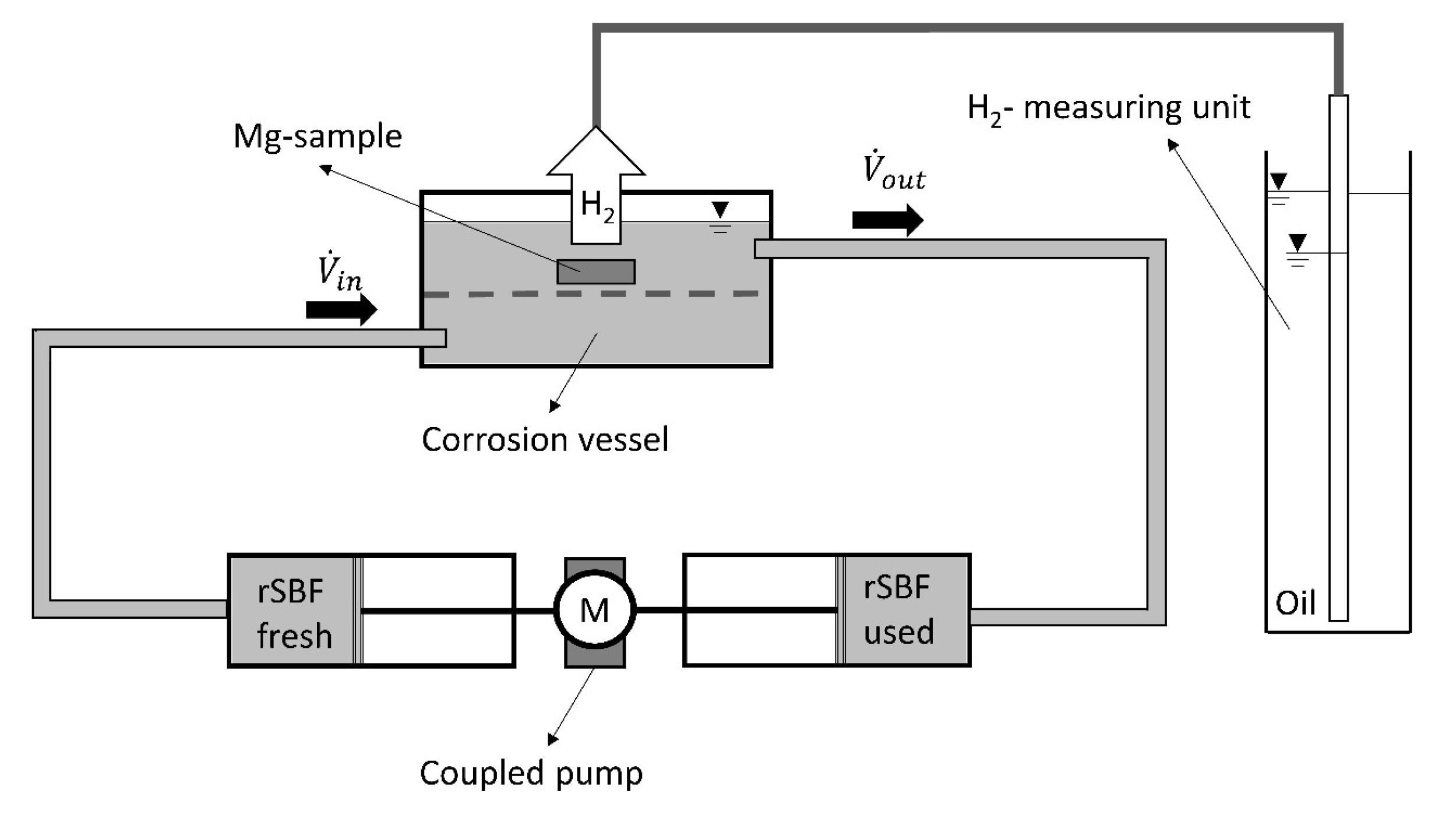 Coatings 13 00094 g002