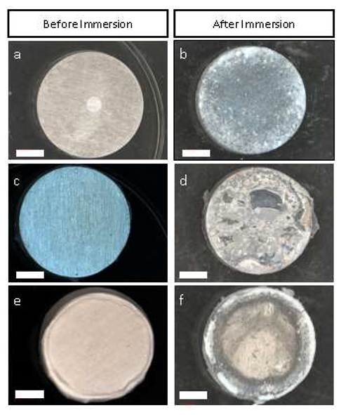 Coatings 13 00094 g004