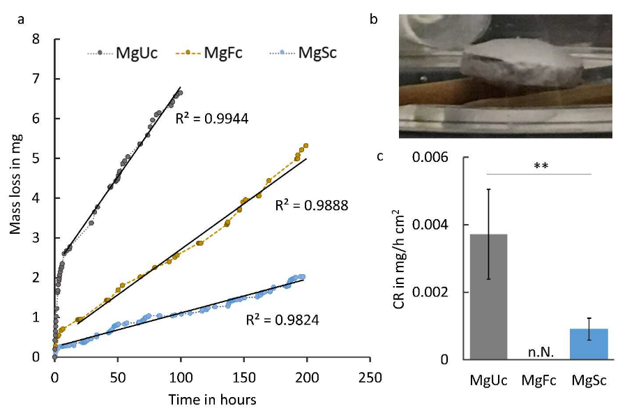 Coatings 13 00094 g005