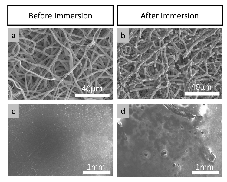 Coatings 13 00094 g006
