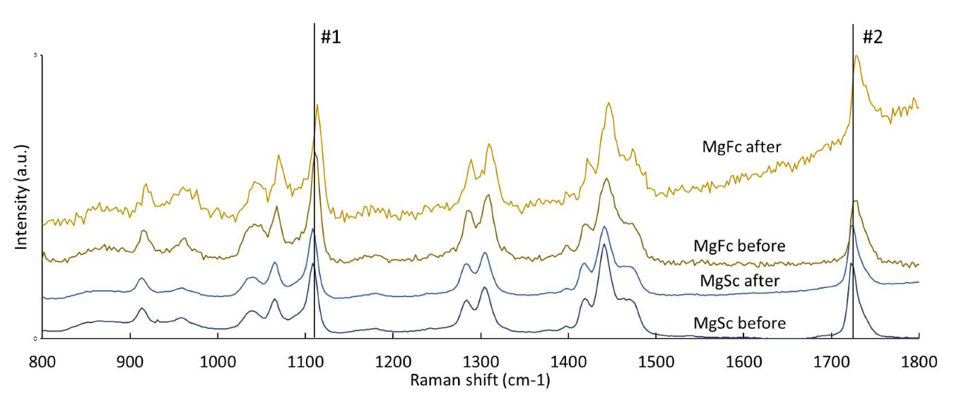 Coatings 13 00094 g007
