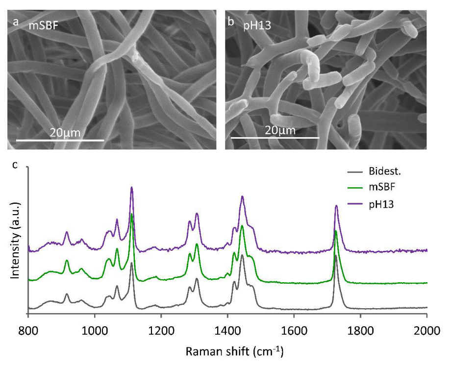 Coatings 13 00094 g009