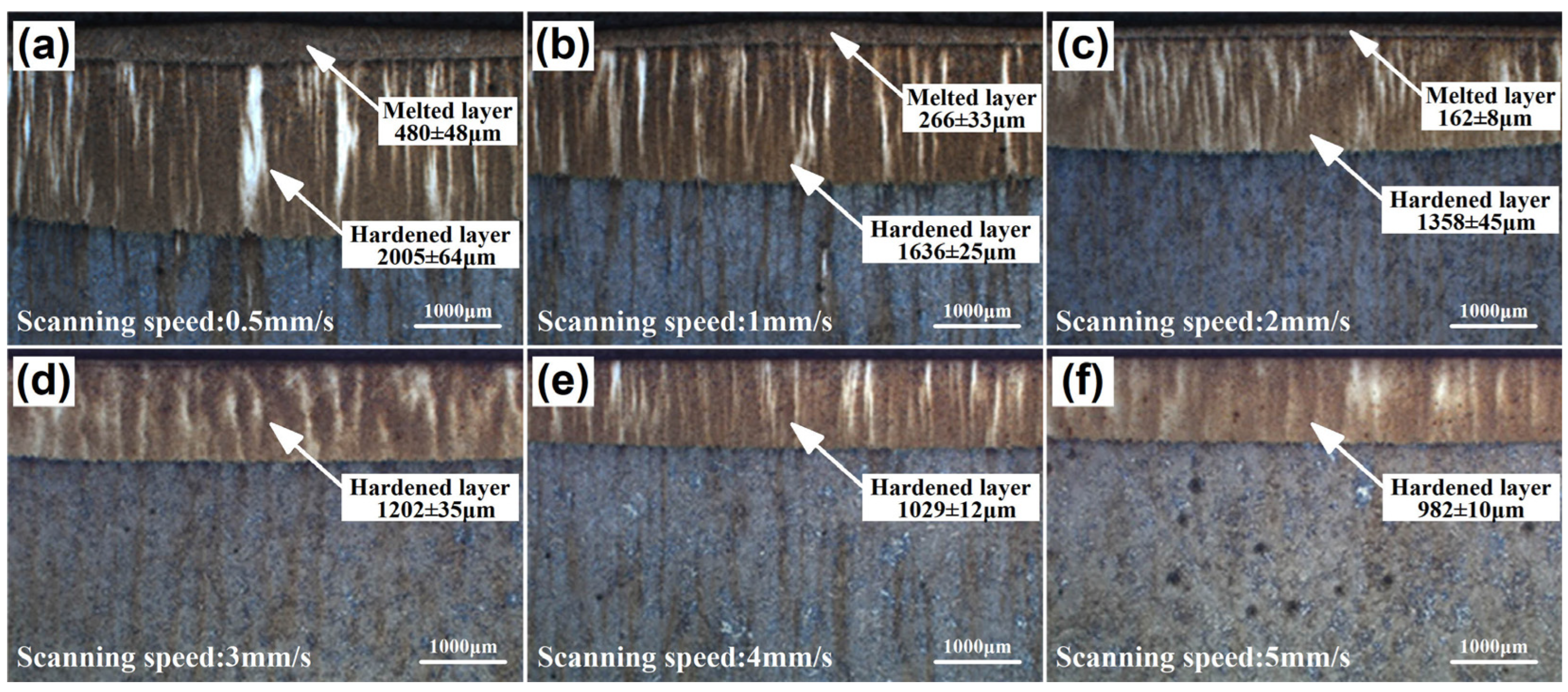 Coatings 13 00097 g002