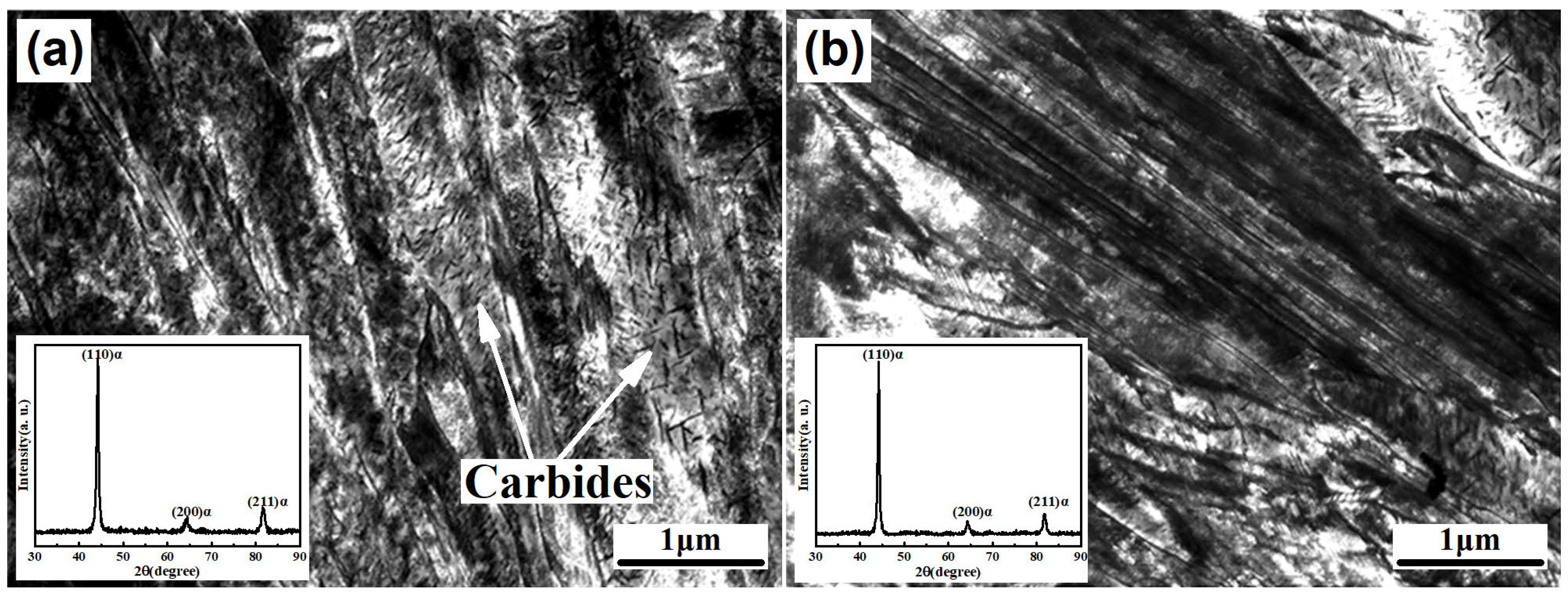 Coatings 13 00097 g004