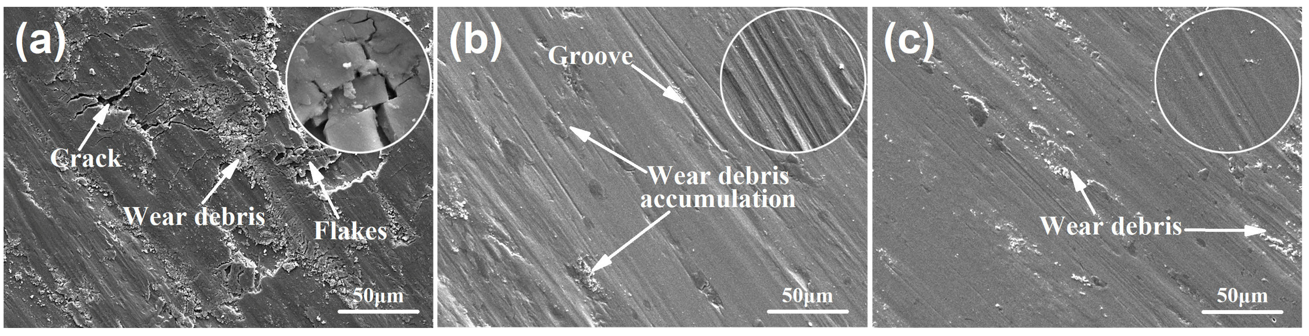 Coatings 13 00097 g008