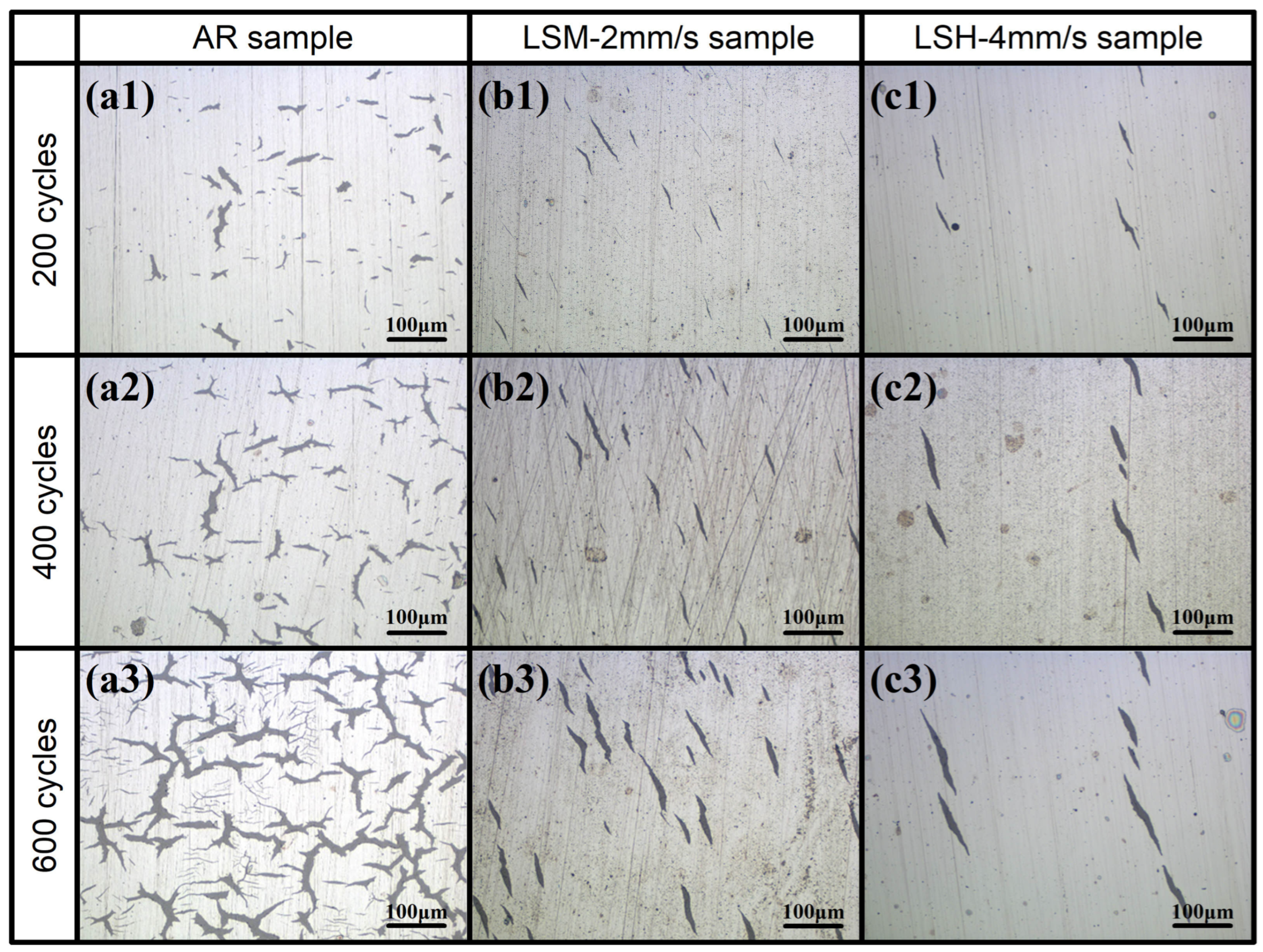 Coatings 13 00097 g010