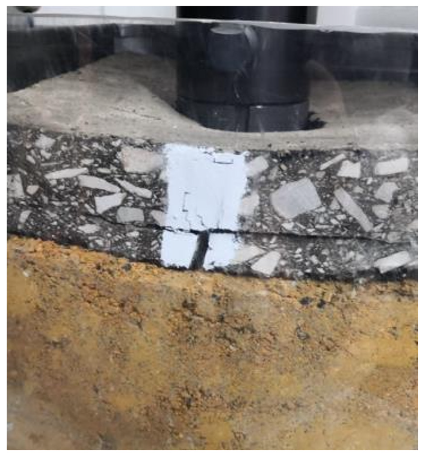 Coatings 13 00099 g011