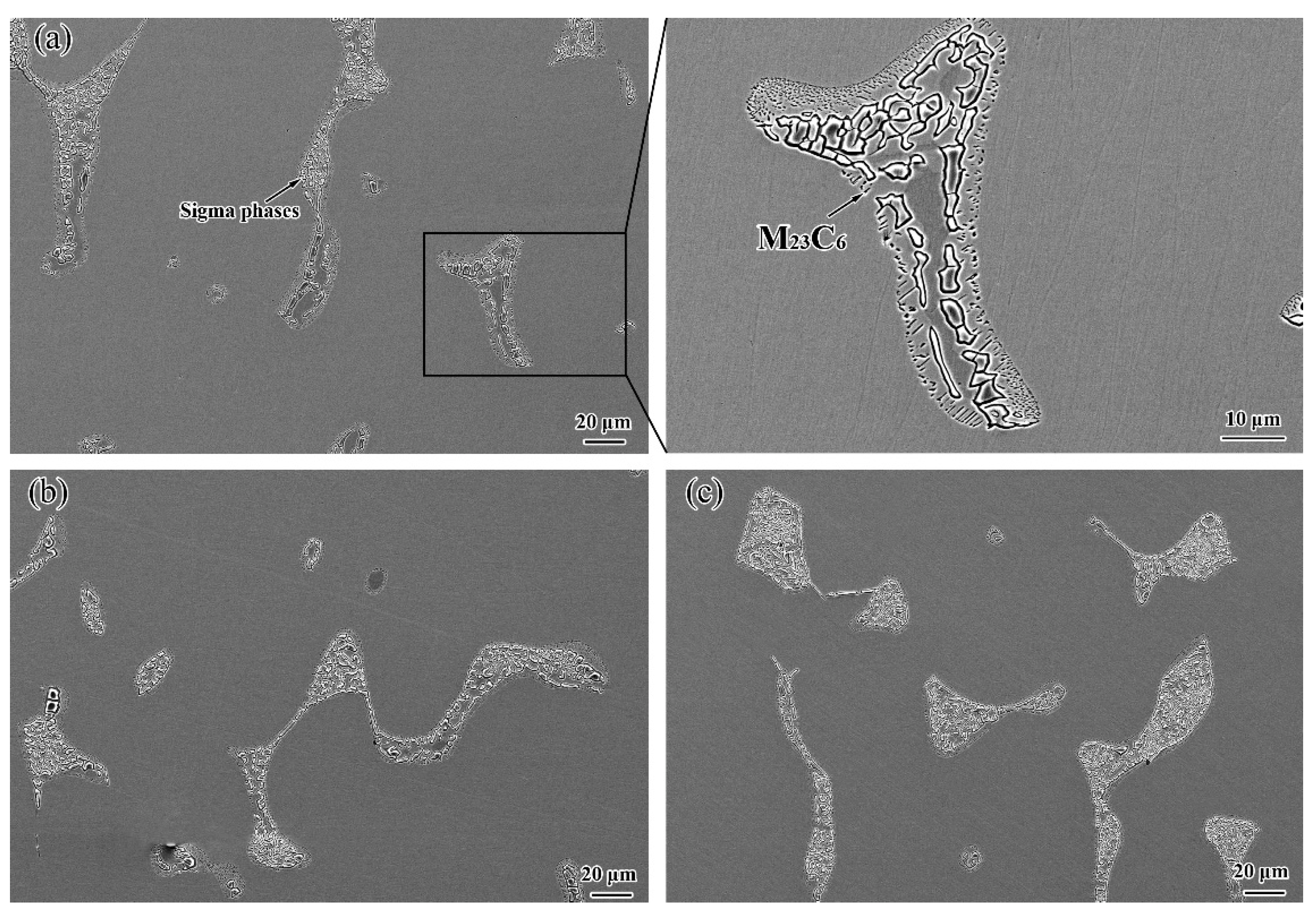 Coatings 13 00101 g006