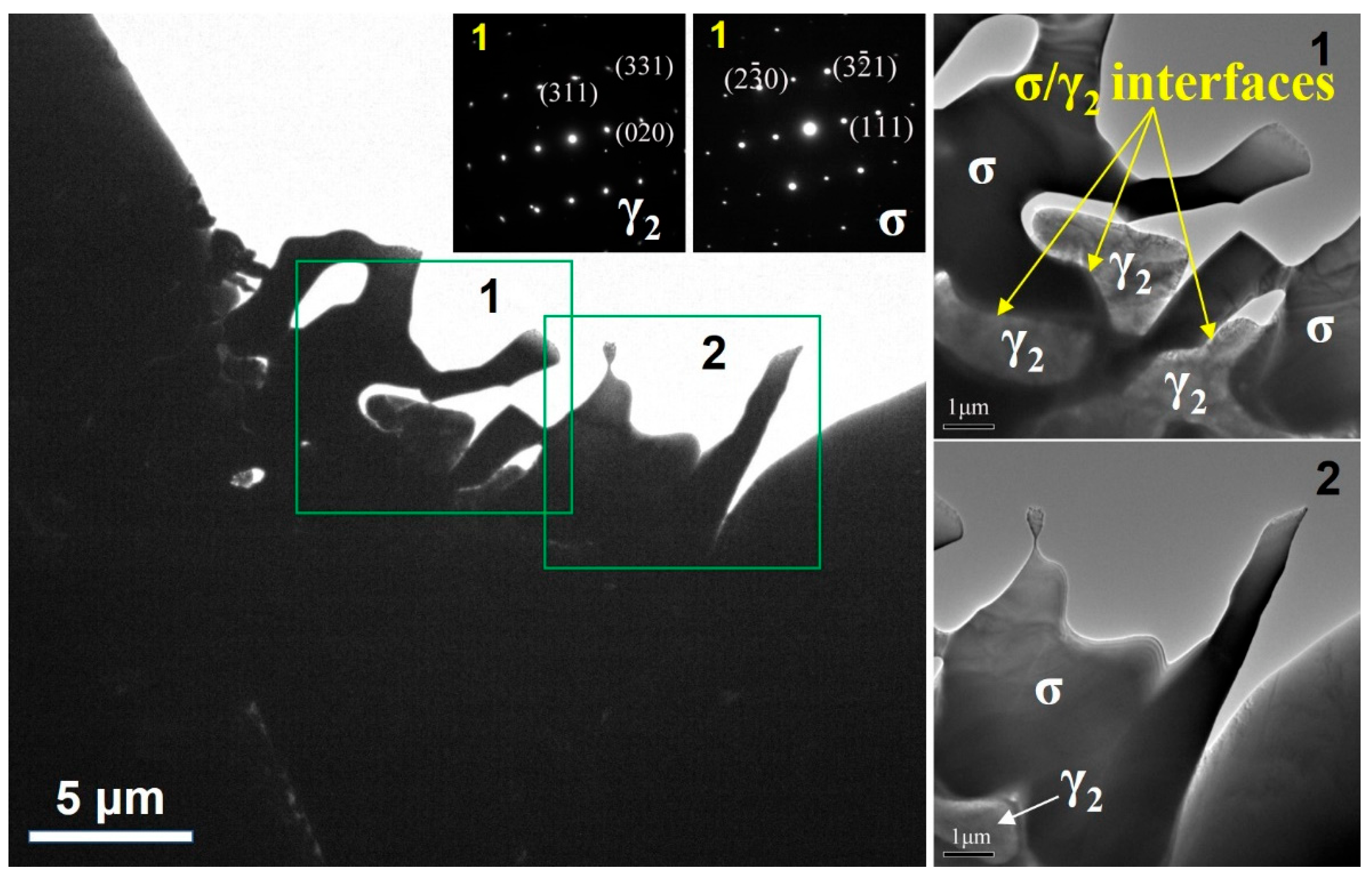Coatings 13 00101 g007