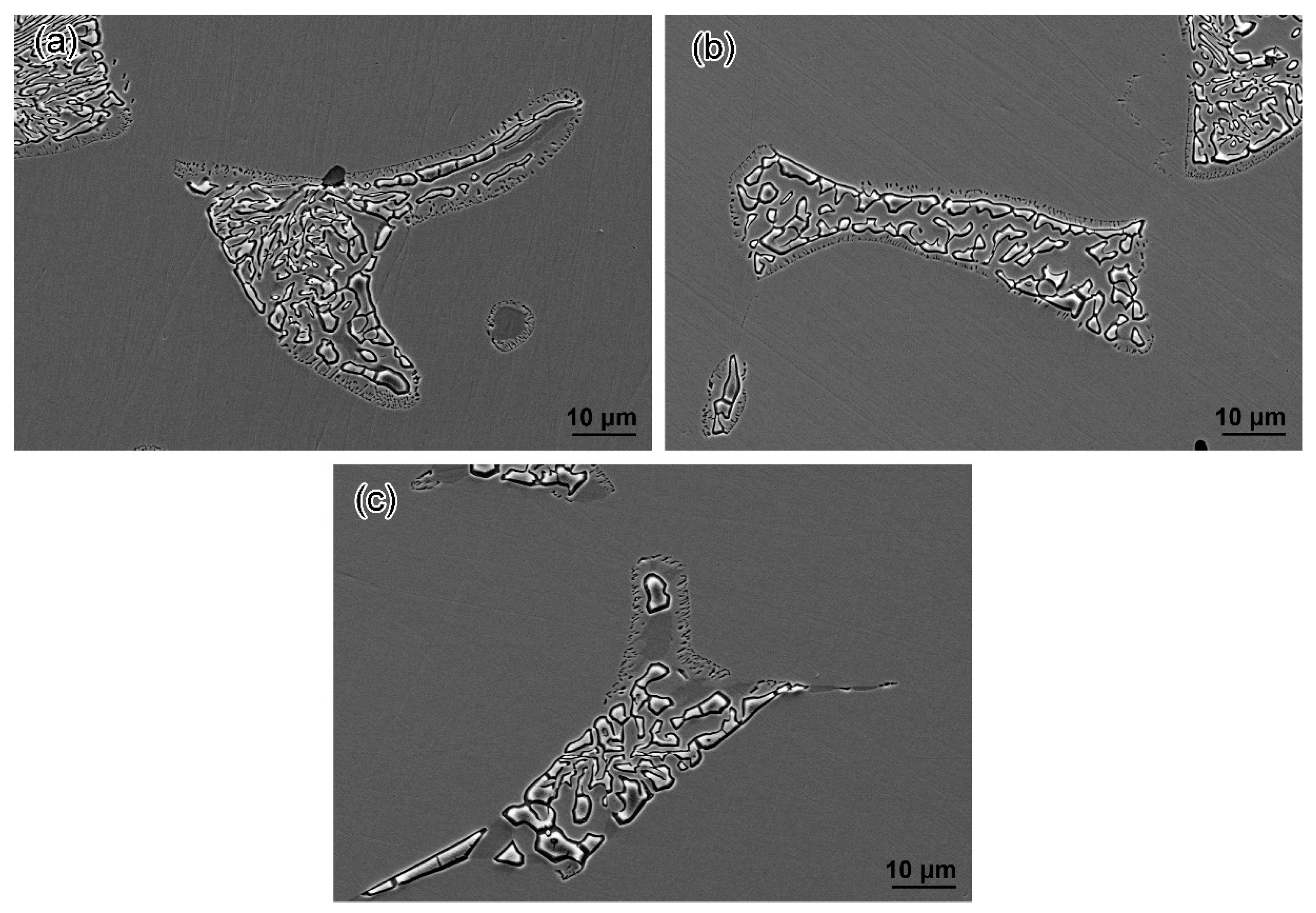 Coatings 13 00101 g009