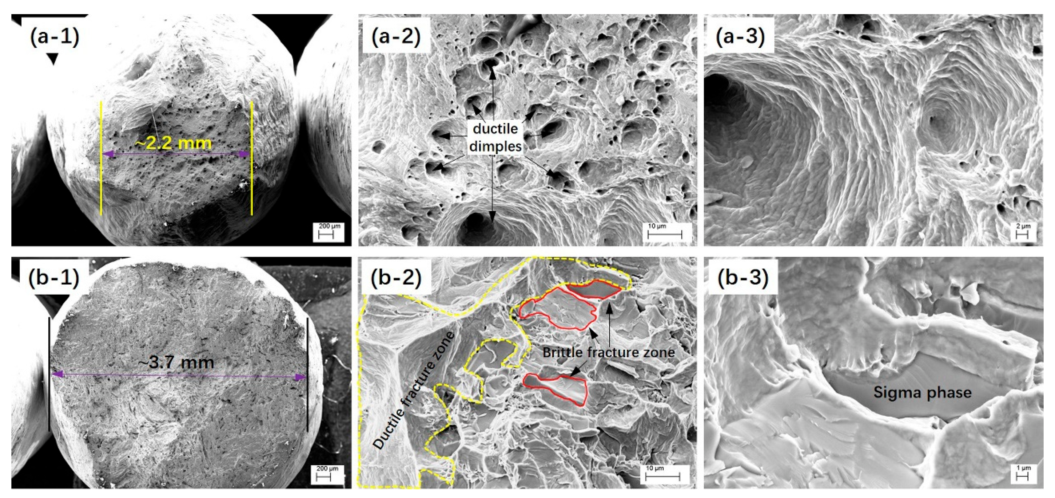 Coatings 13 00101 g011