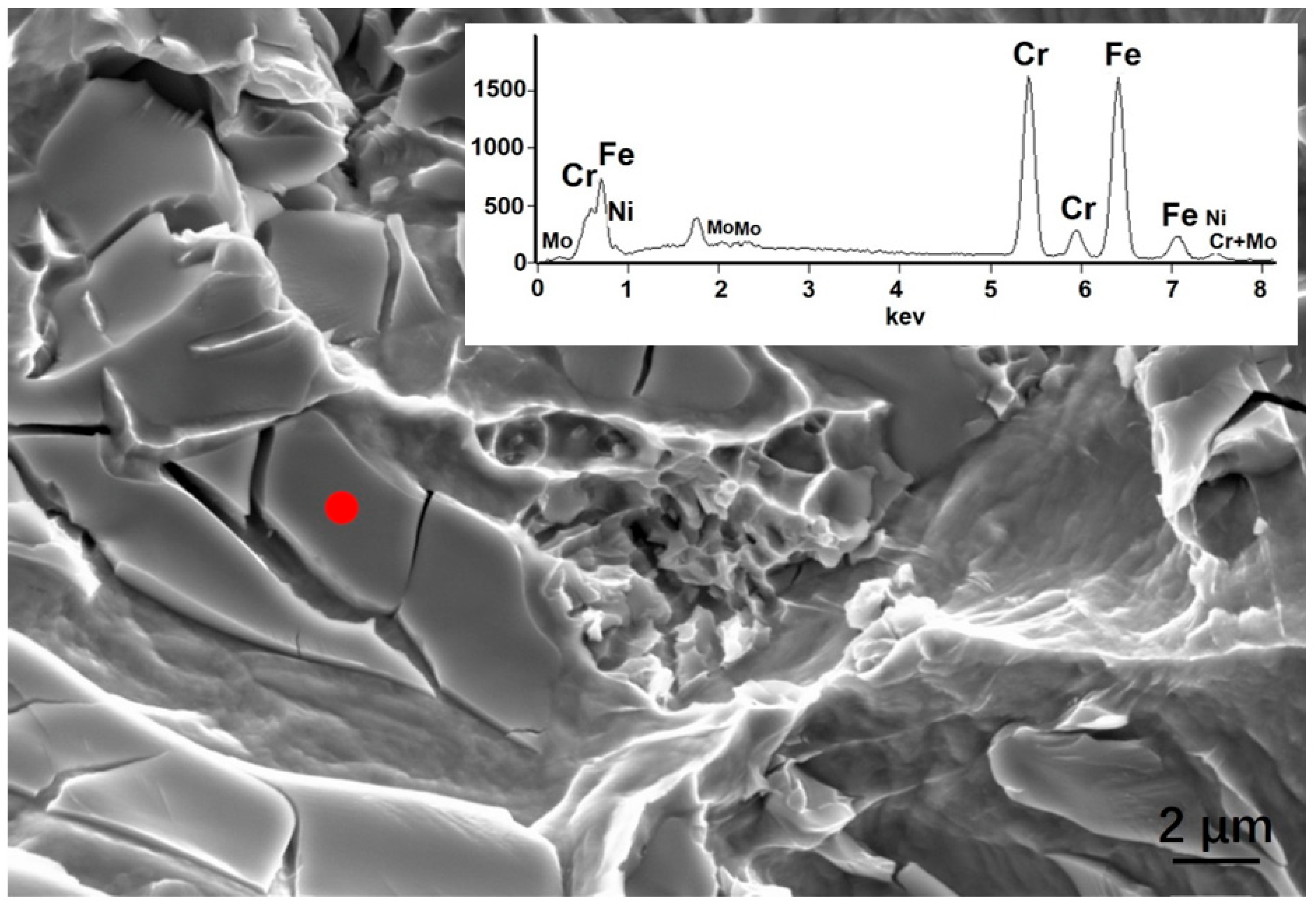Coatings 13 00101 g012