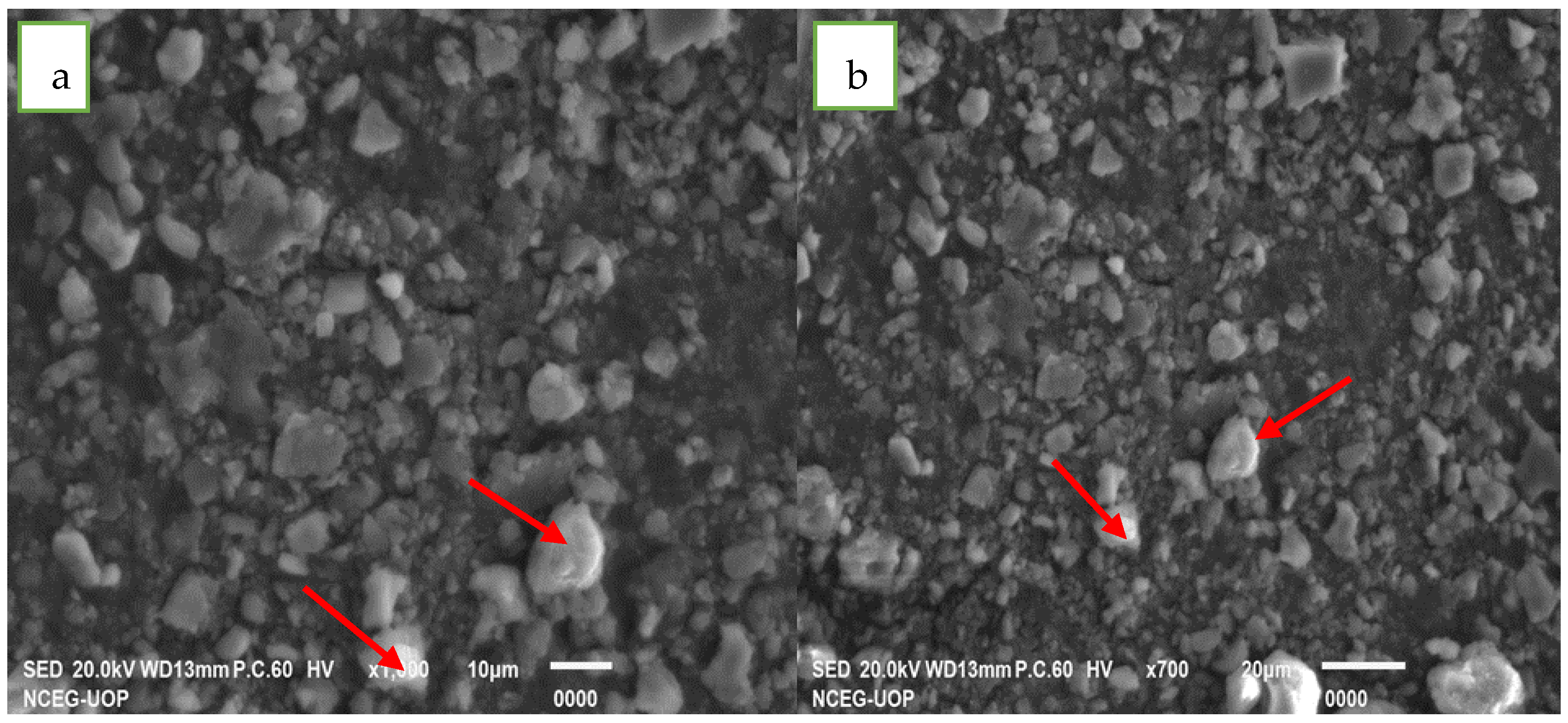 Coatings 13 00103 g003