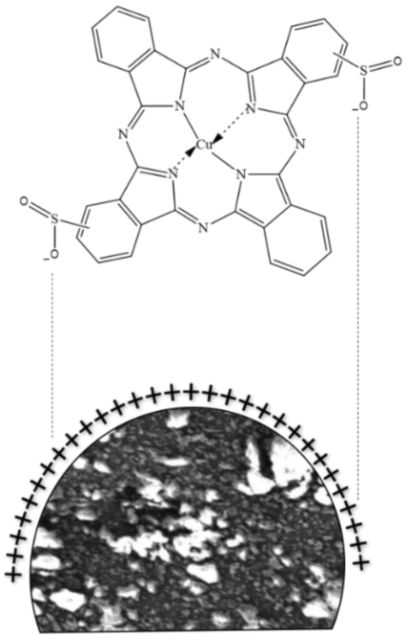 Coatings 13 00103 g015