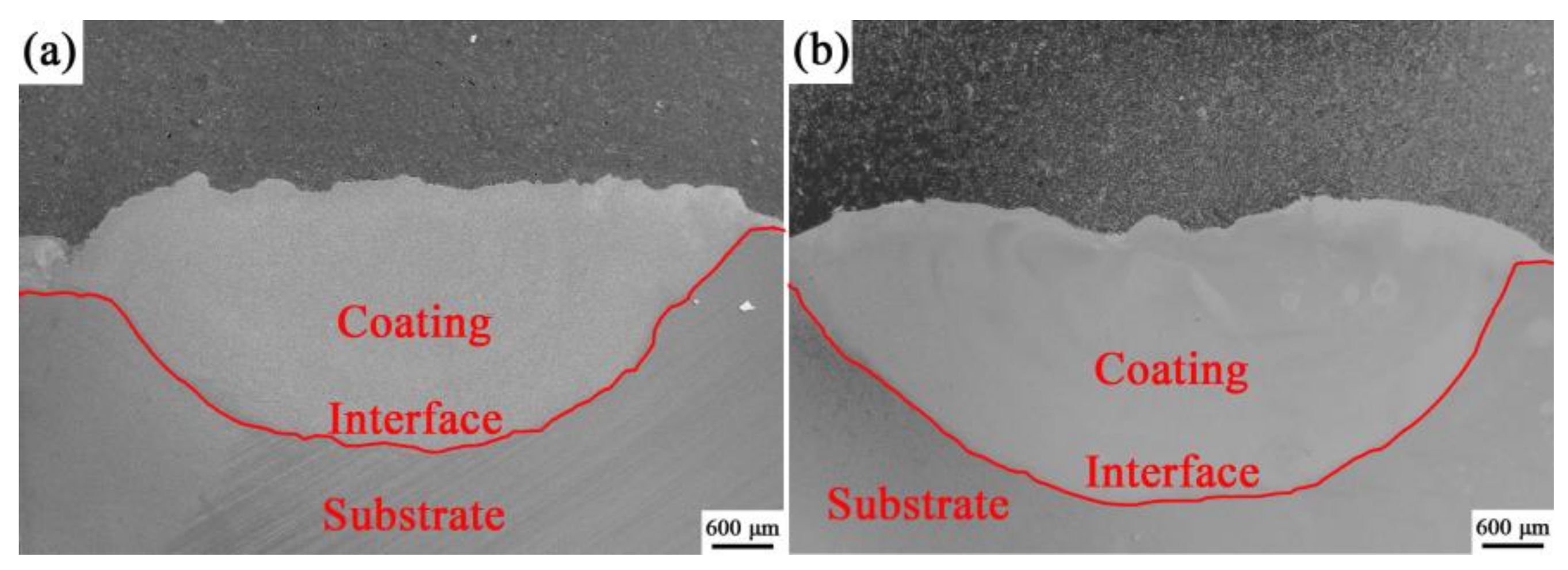 Coatings 13 00105 g002